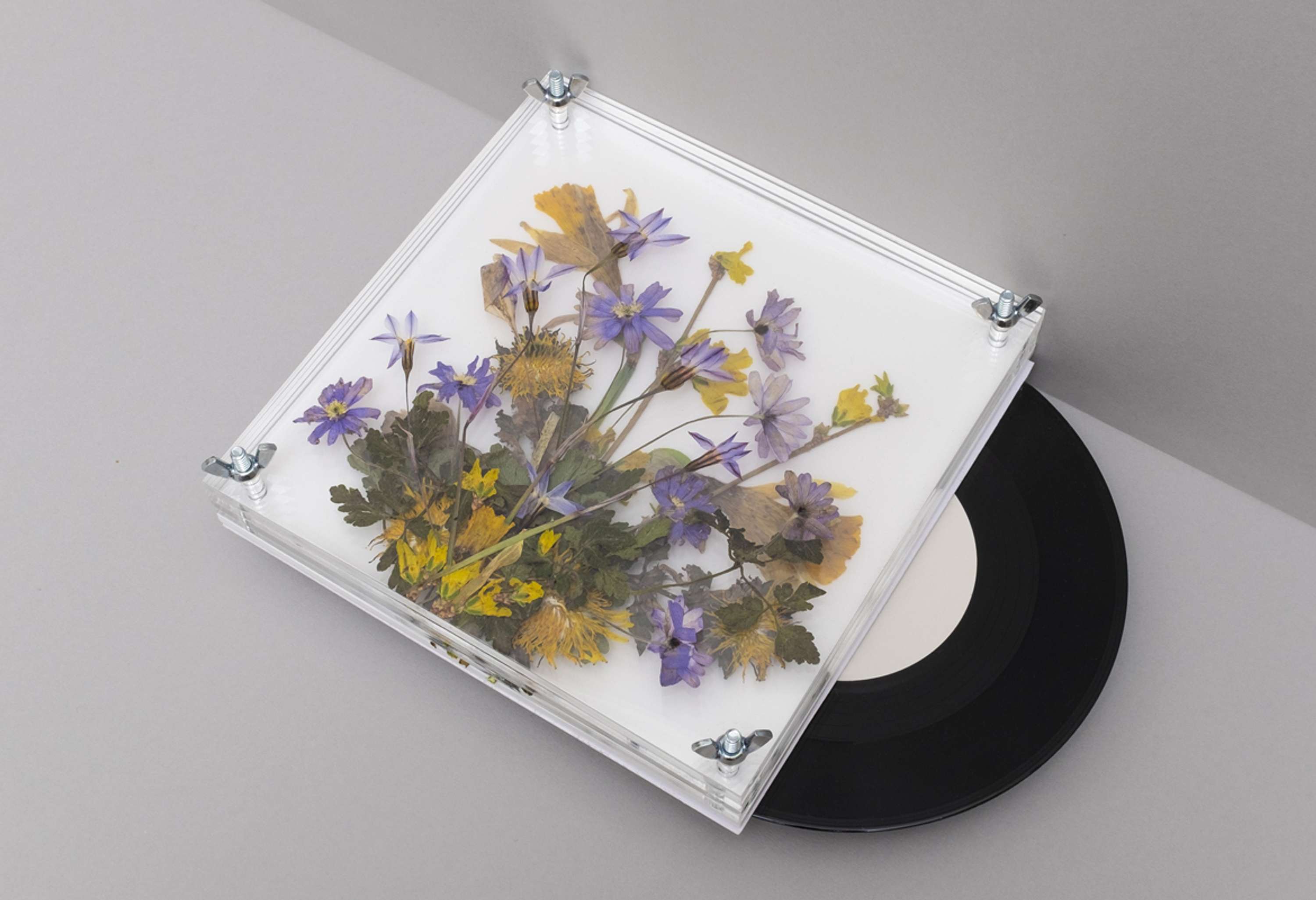 Secret 7" by Stuart Tolley