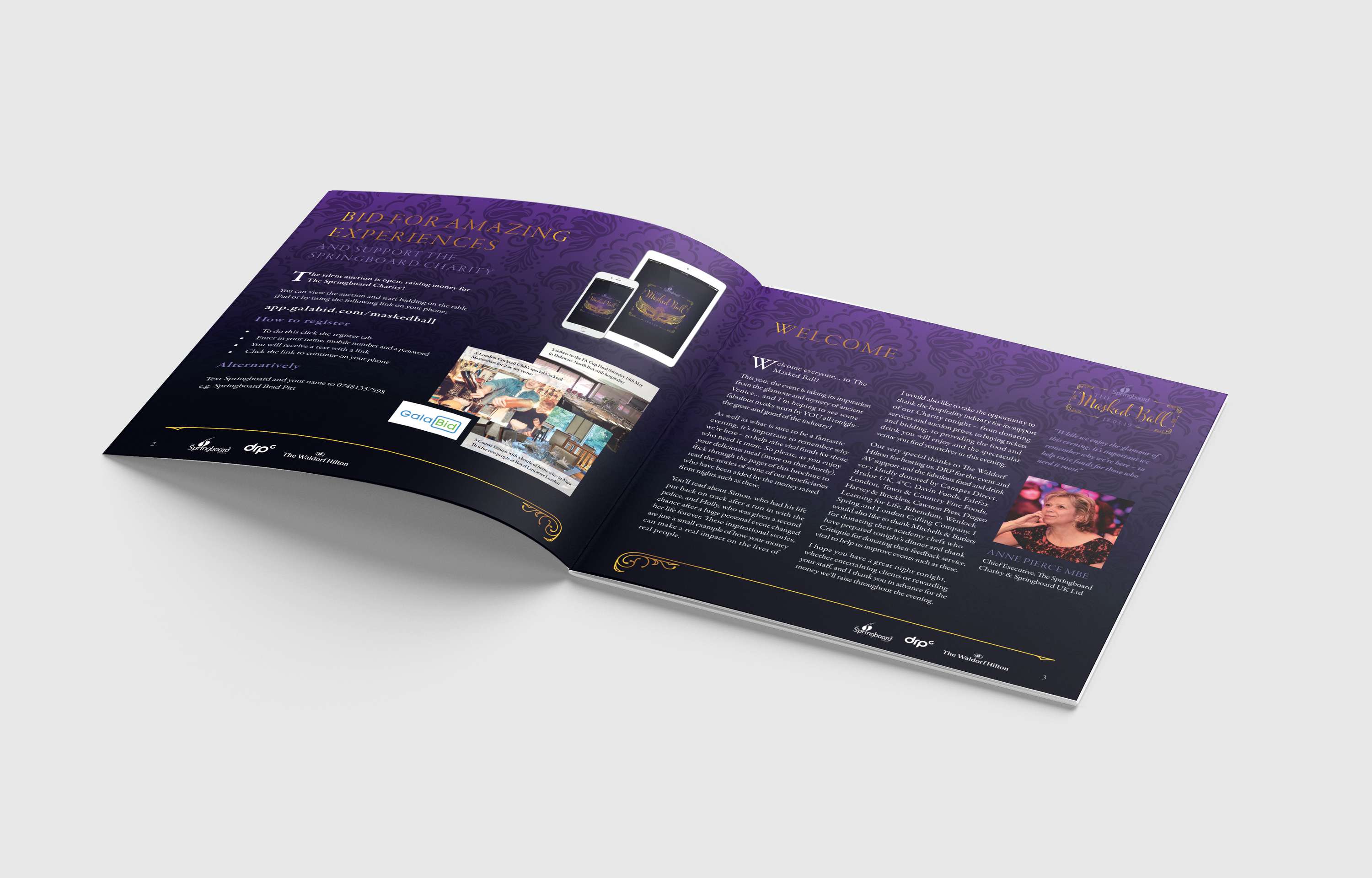 Springboard Live Events Branding by Terry Coleman