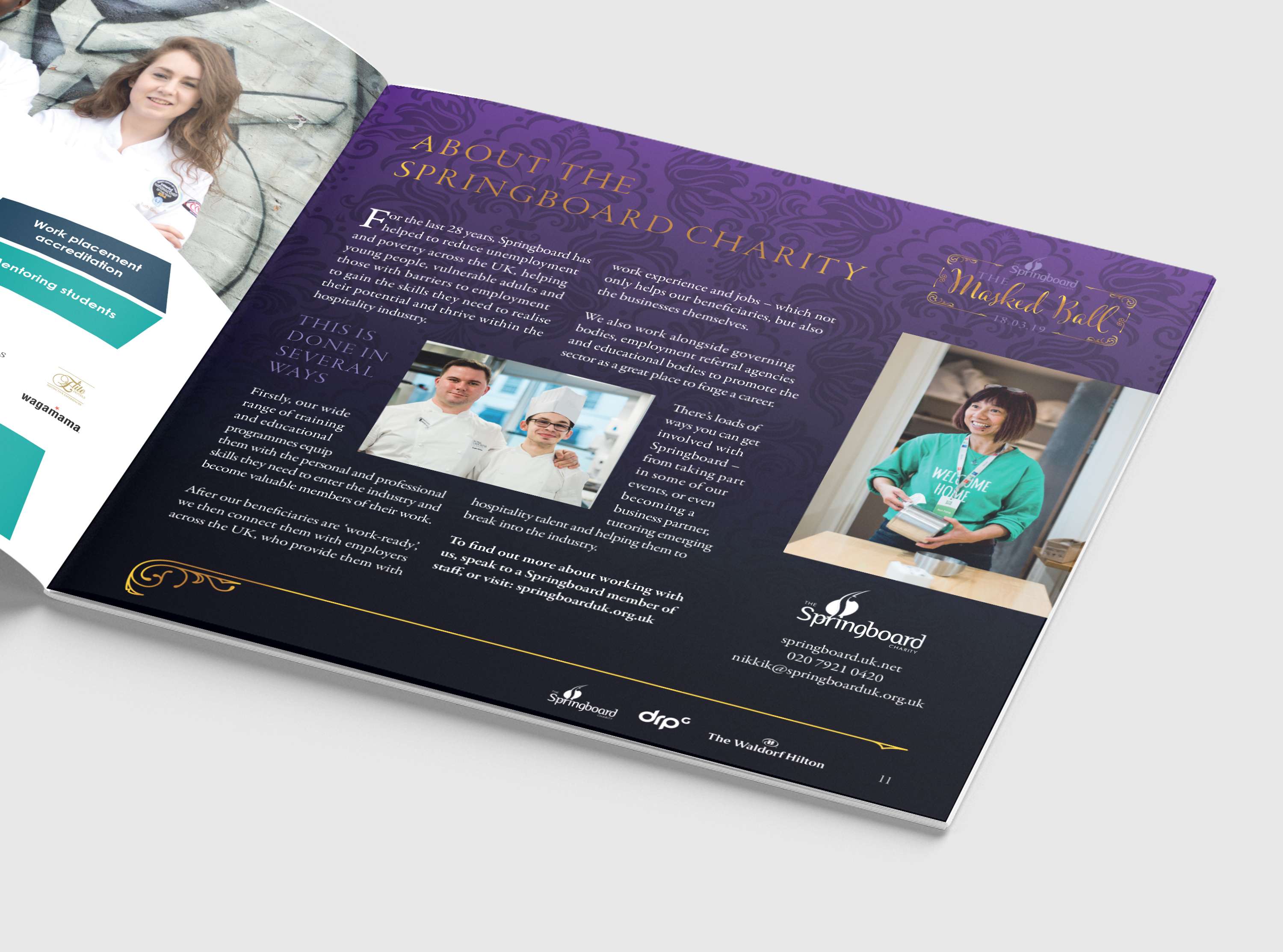 Springboard Live Events Branding by Terry Coleman