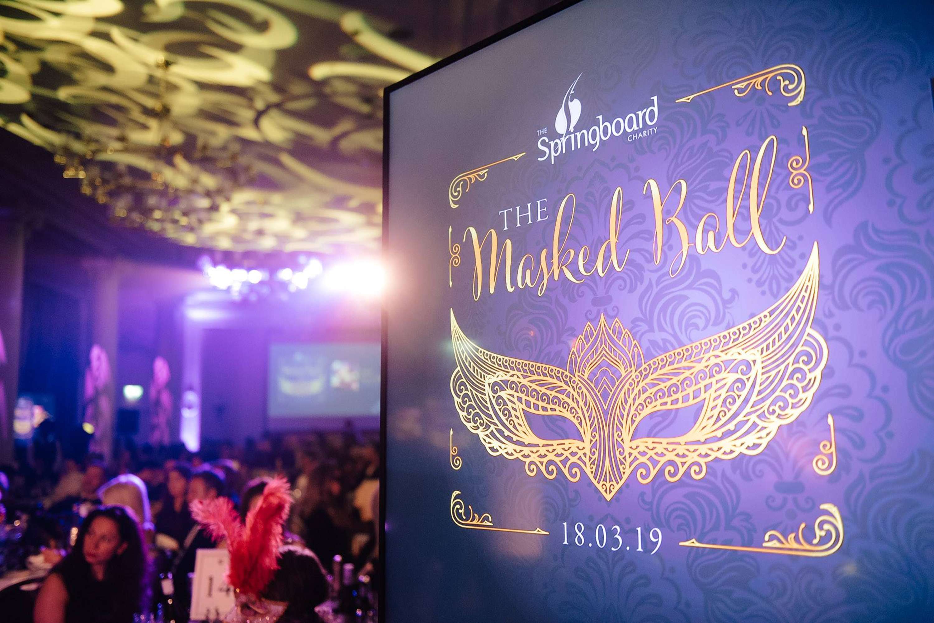 Springboard Live Events Branding by Terry Coleman