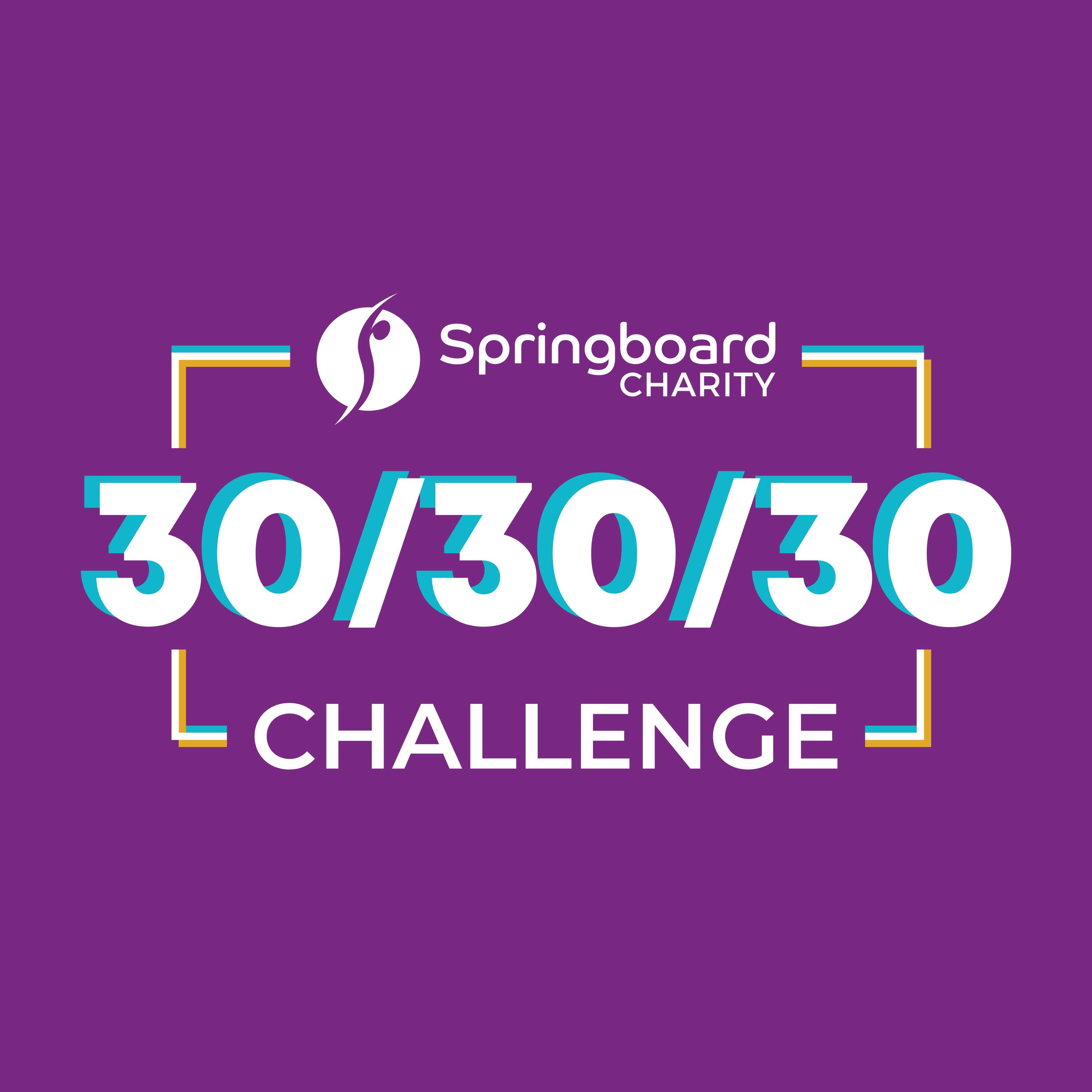 Springboard's Online Events Branding by Terry Coleman