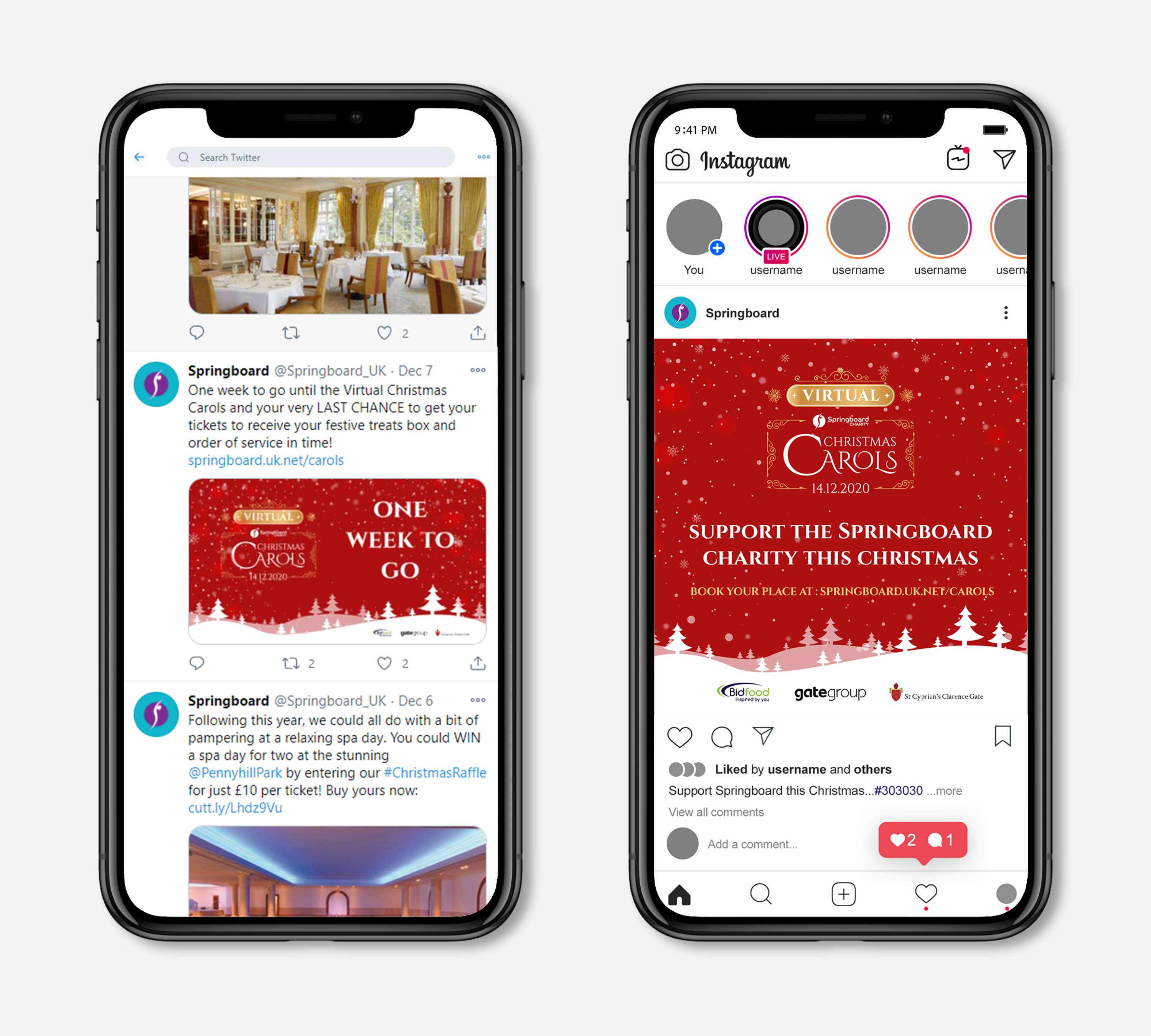Springboard's Online Events Branding by Terry Coleman