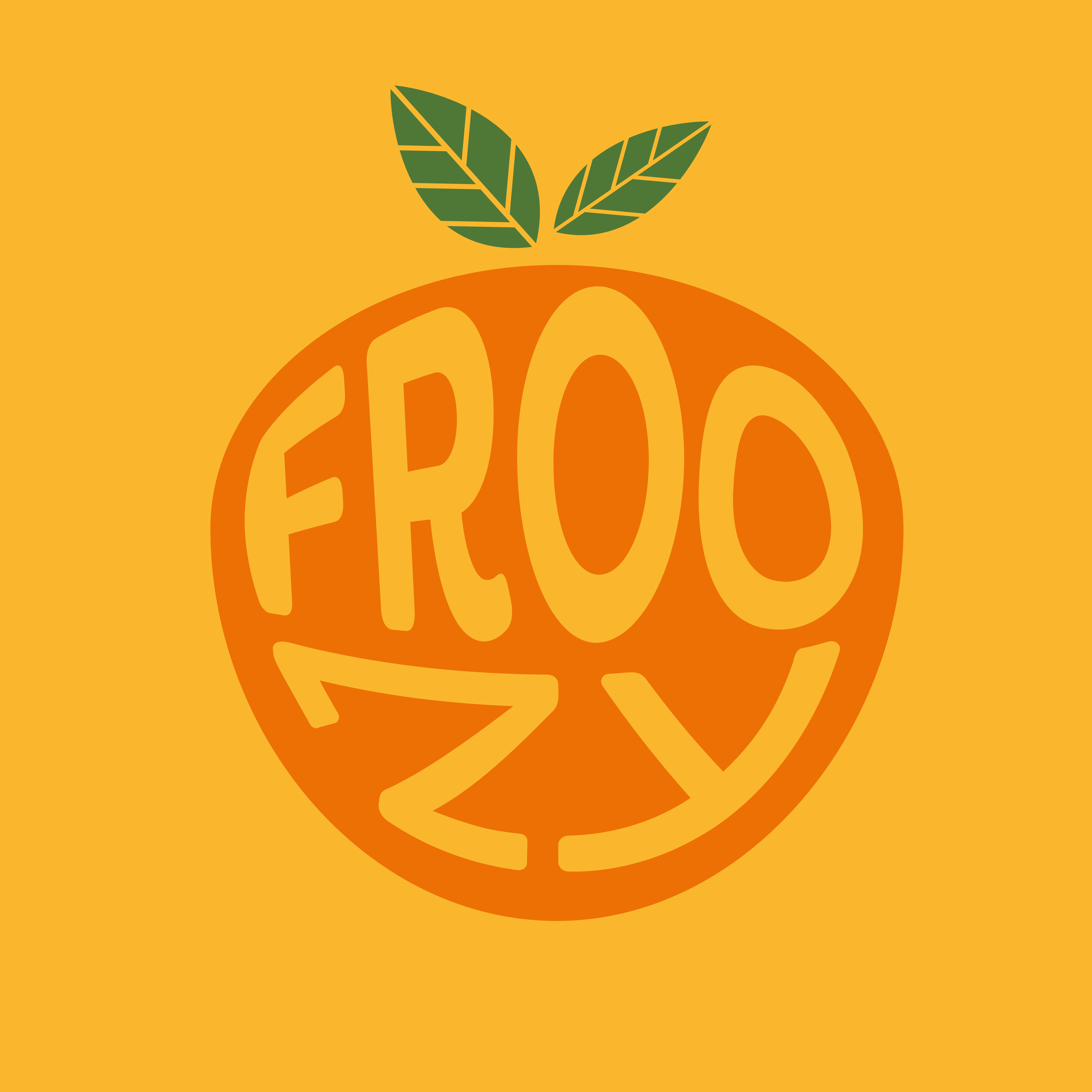 Froozy Smoothie and Juice Brand Identity by Terry Coleman