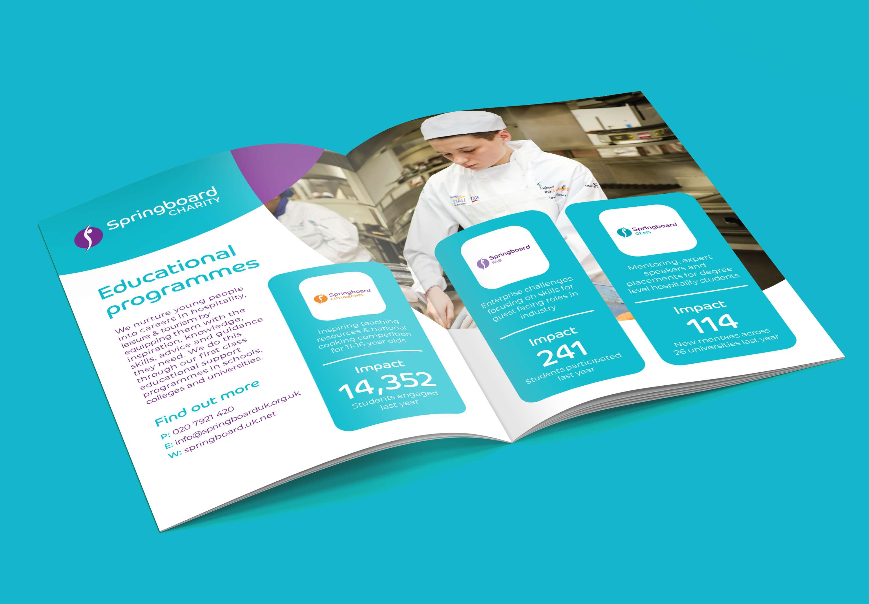 Springboard Re-Brand by Terry Coleman
