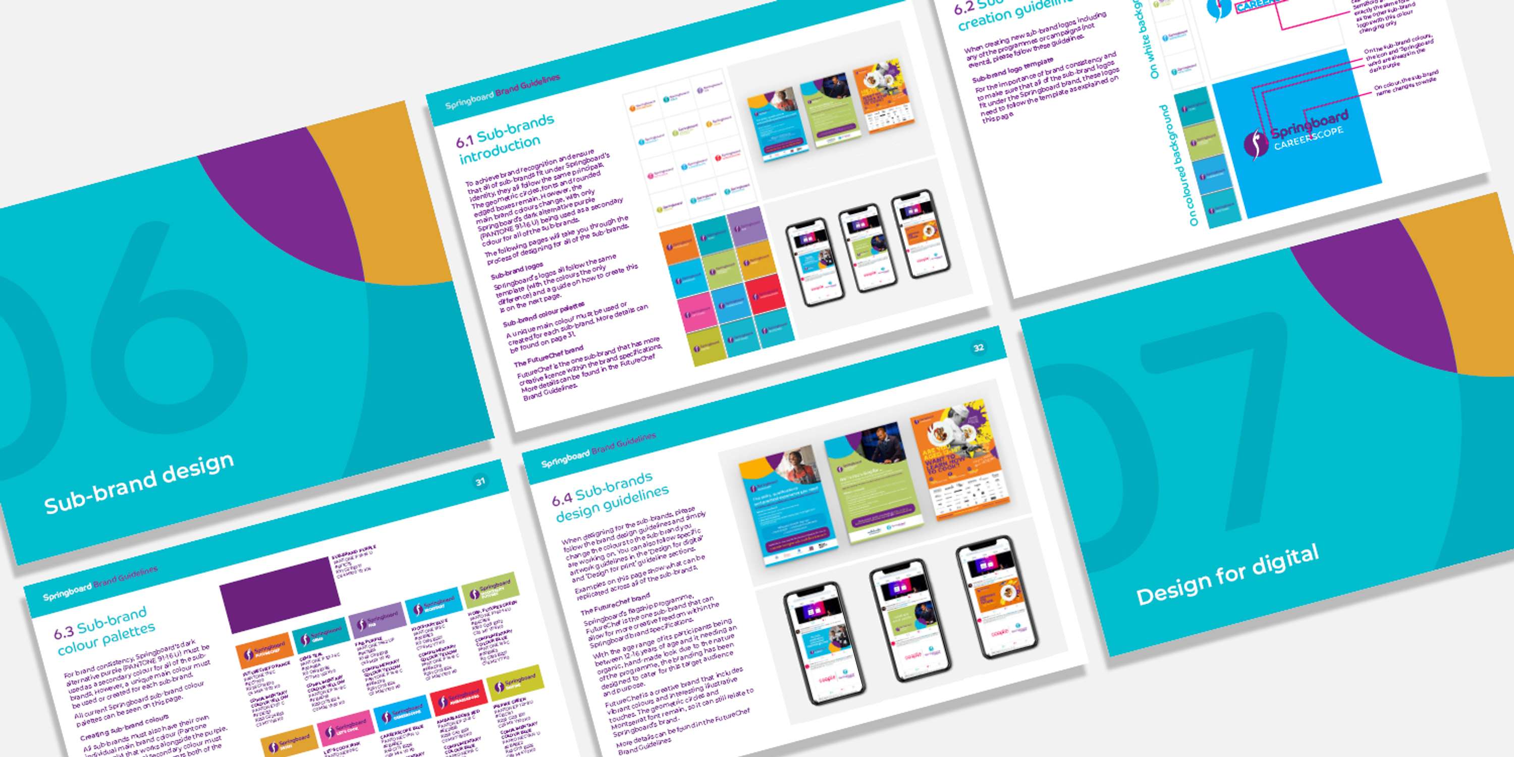 Springboard Re-Brand by Terry Coleman