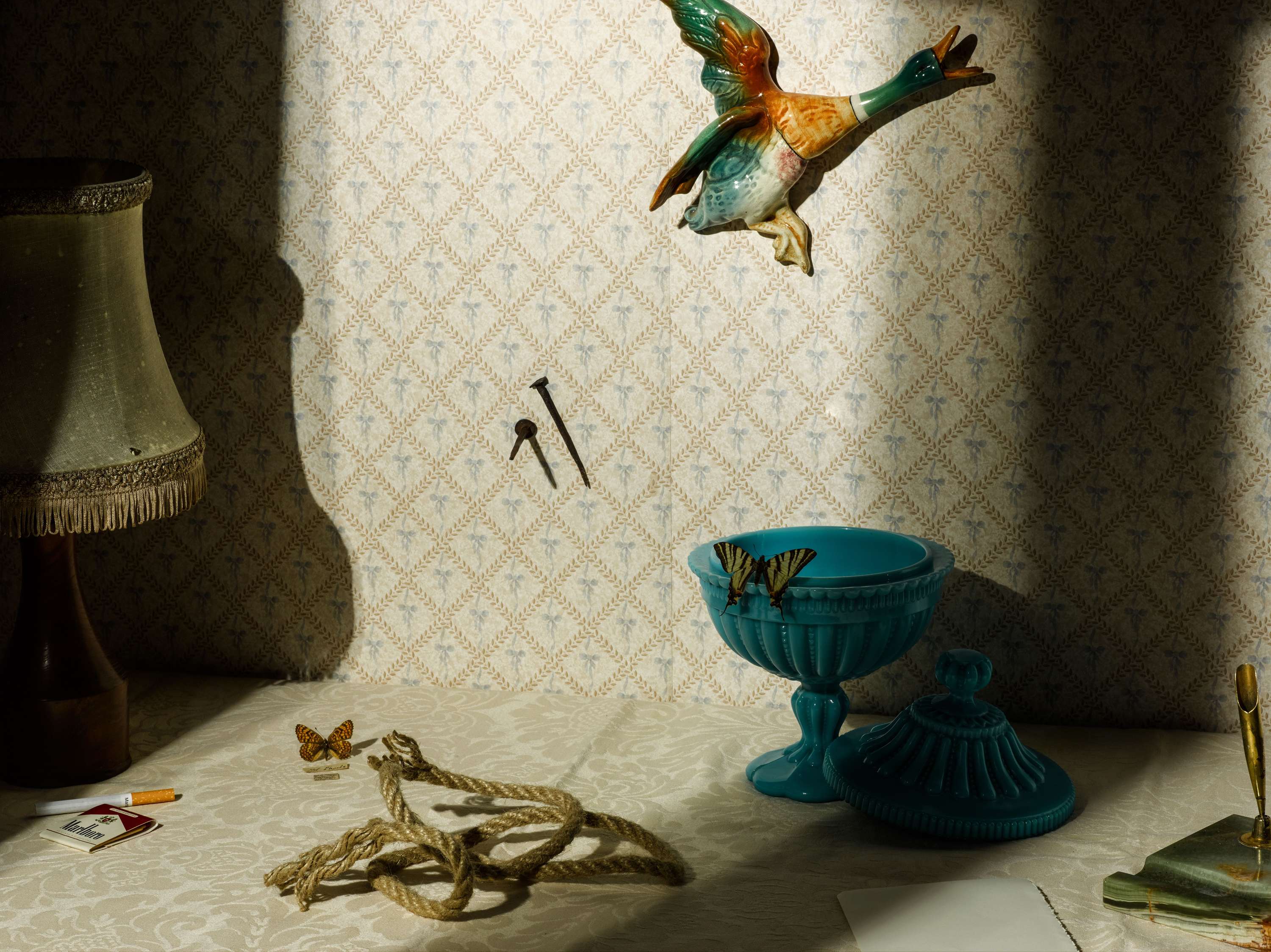 The Collector by Georgia Currell