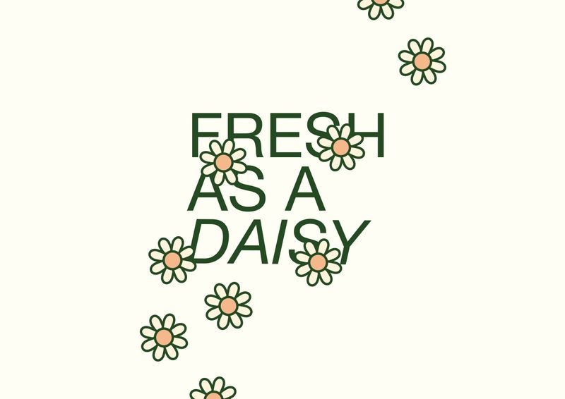 Fresh as a Daisy by Katie Fogden