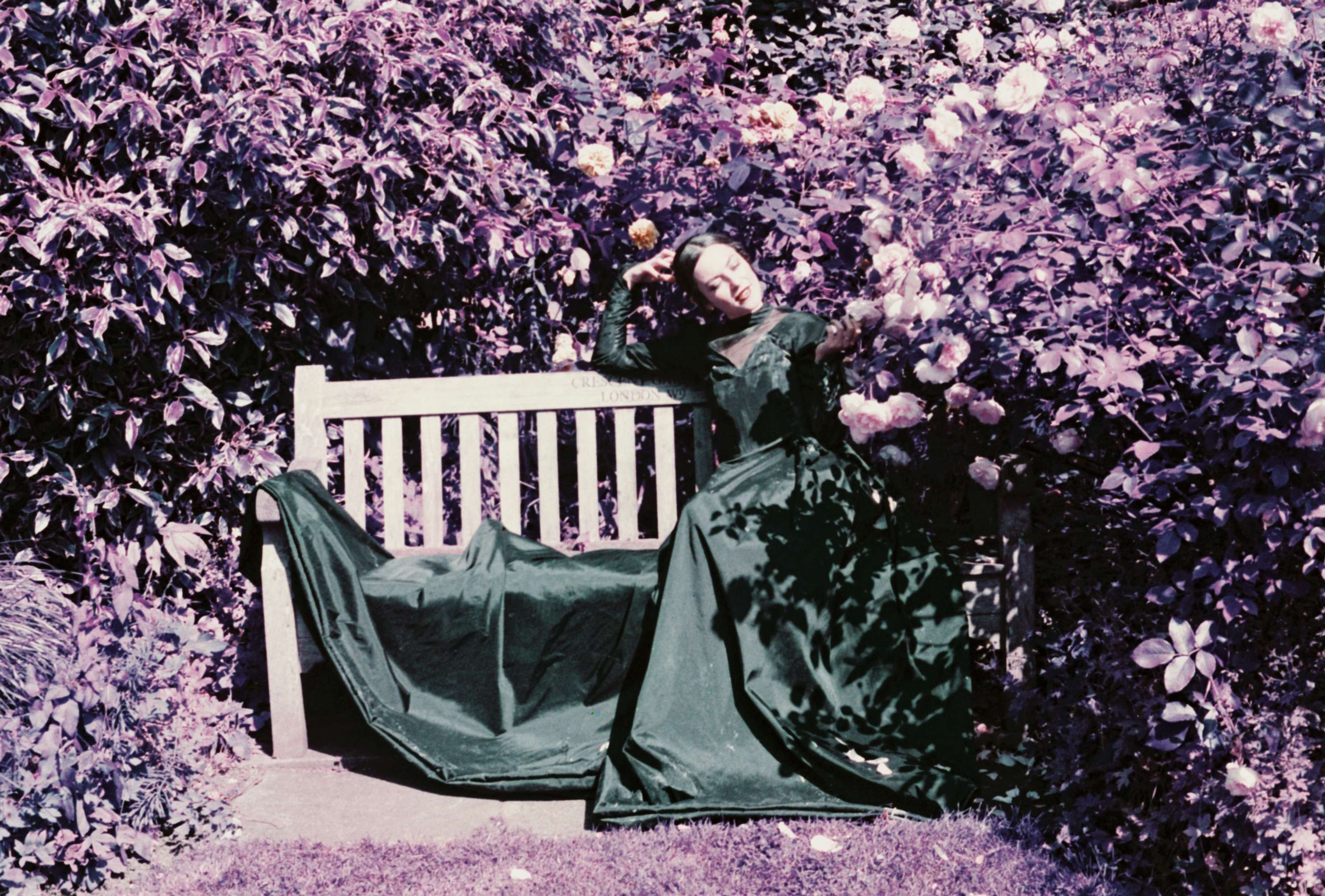 THE VIOLET HOUR by Flore Diamant