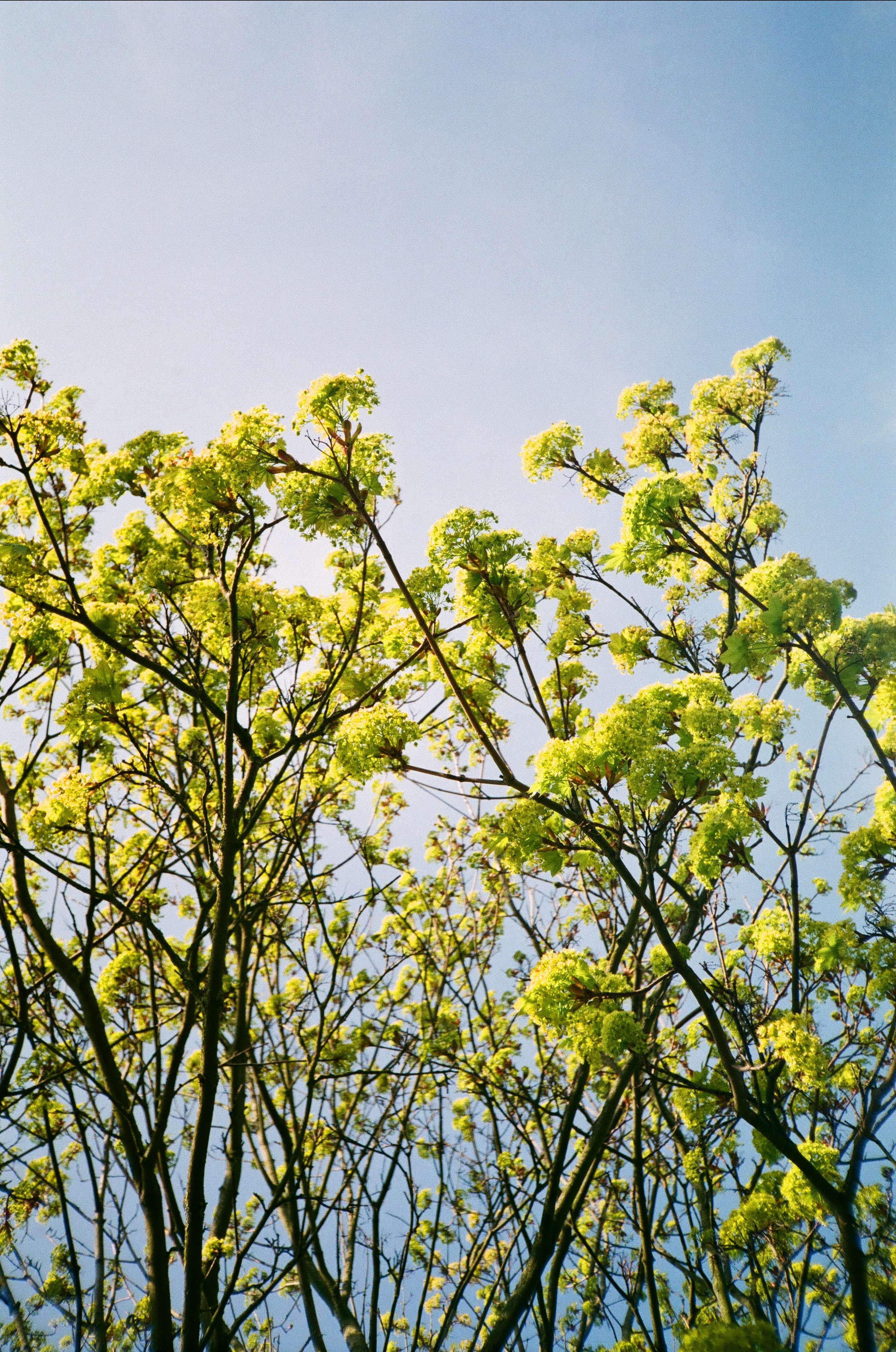 Look Up by Kirstie Mccubbin