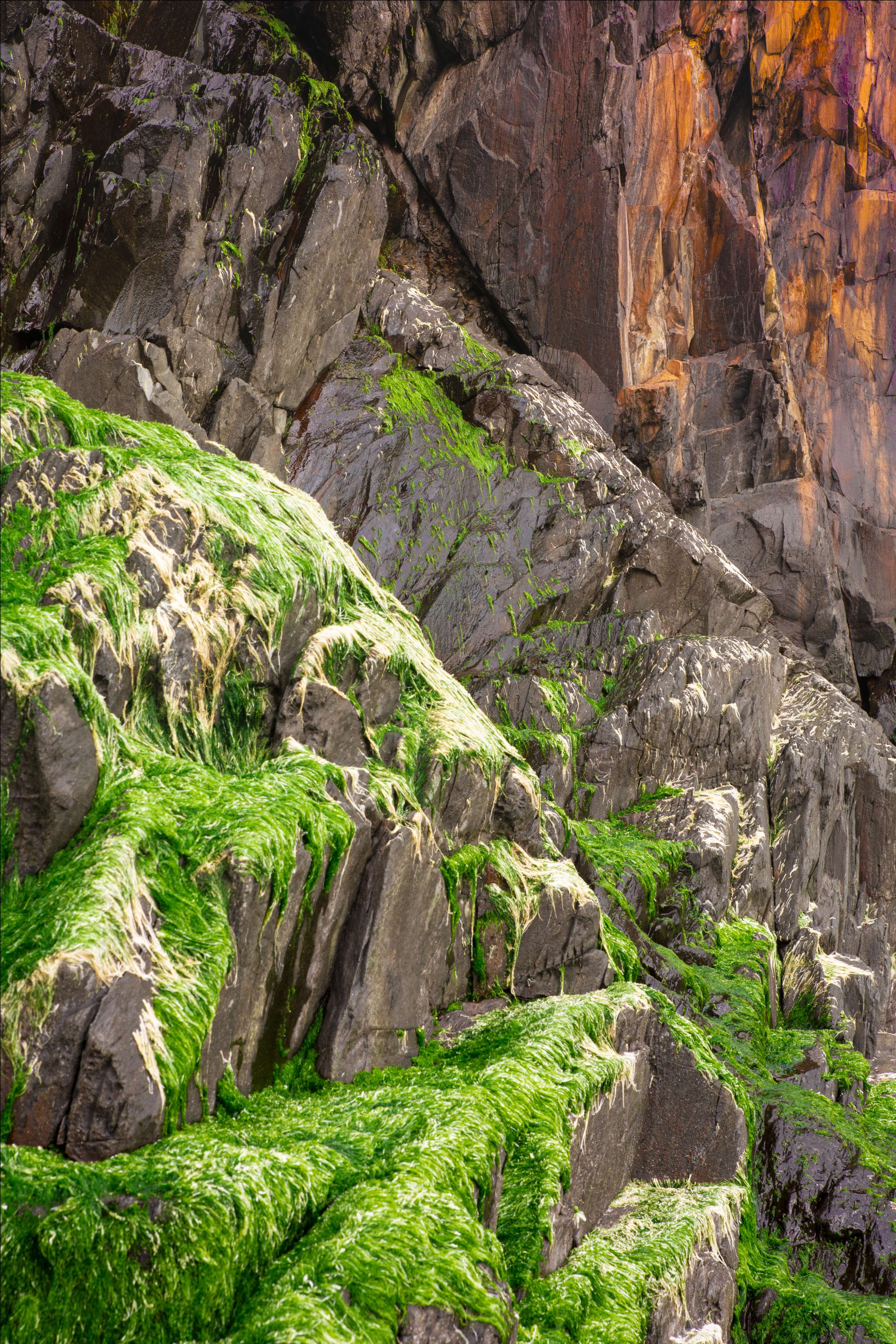 When you step into the land of colours by Jakub Pasierkiewicz