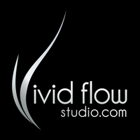 Vivid Flow Studio logo