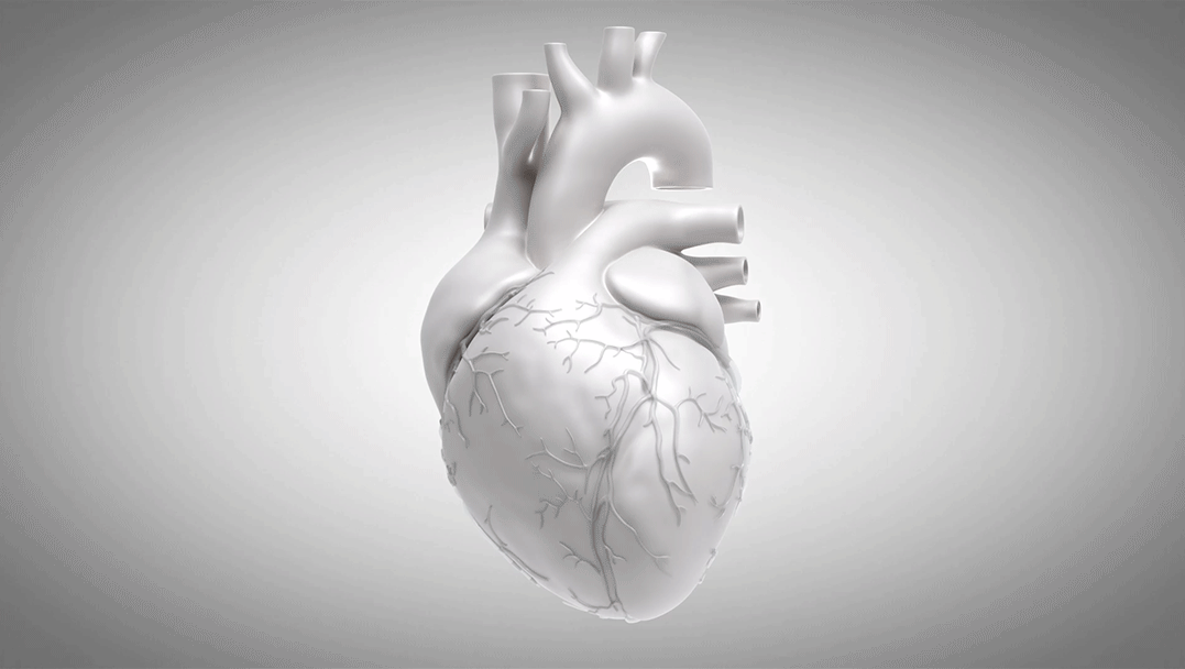 Syneos Health - Heart Harpoon Interactive Video (CG/ Motion Graphics) by Graceful Monkey