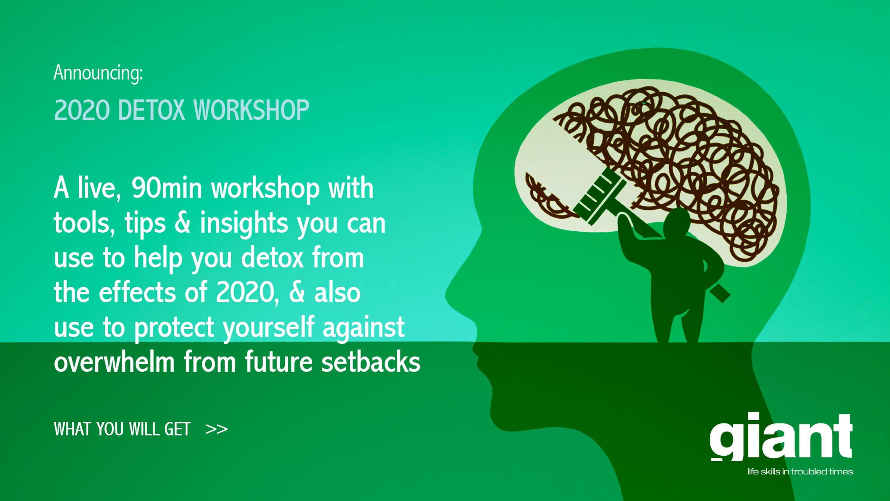 2020 Detox Workshop by Rob Wright
