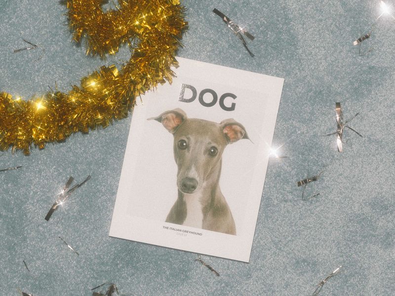 DOG - ISSUE 07 THE ITALIAN GREYHOUND by DOG MAGAZINE