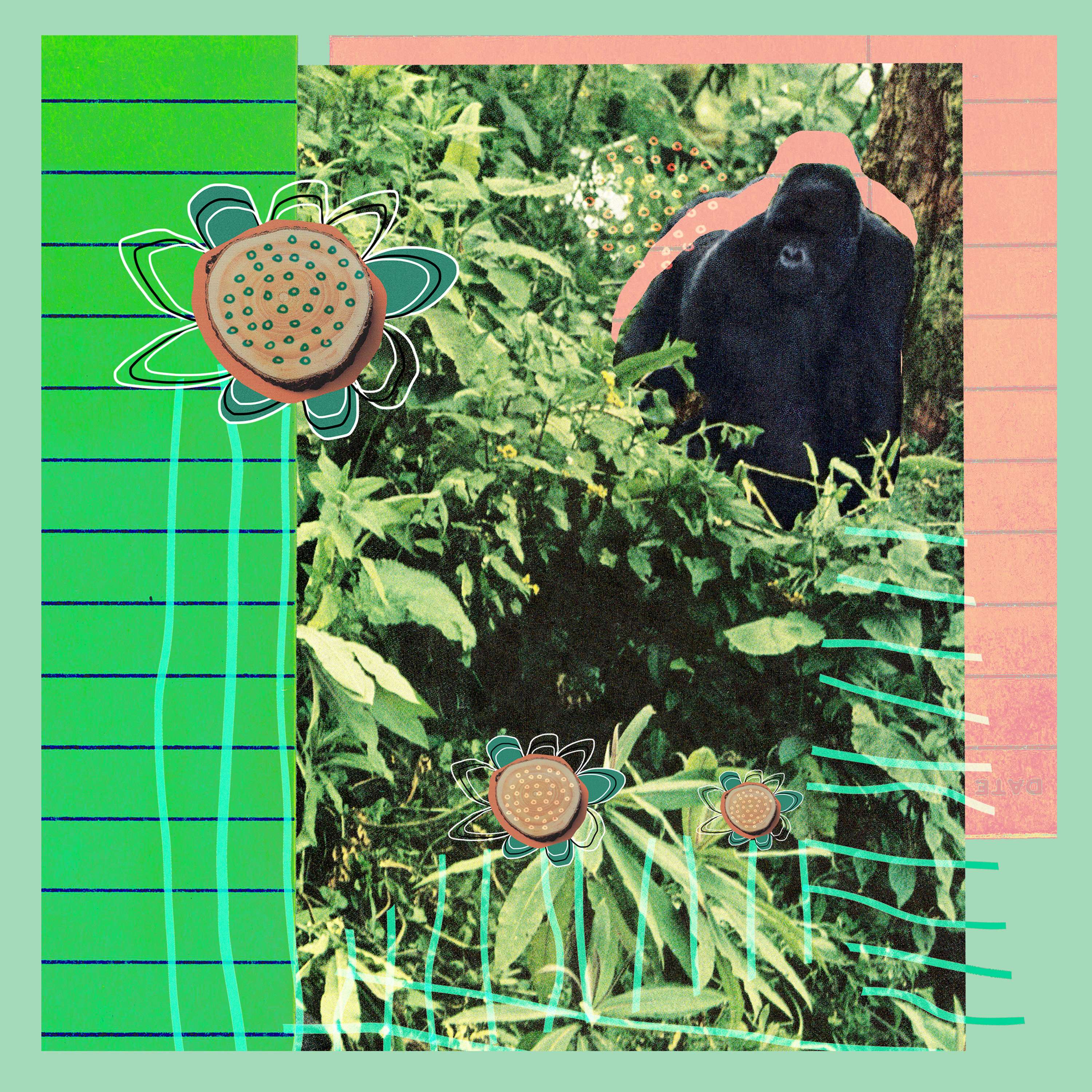 Digital Collages by flavia felipe