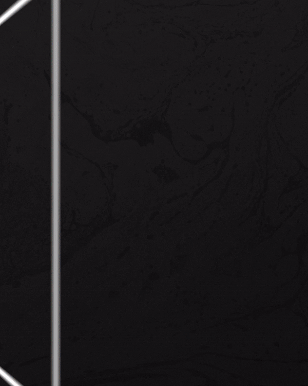 Alfie Templeman Spotify Canvases by F That | Digital Creative Agency