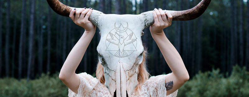 Branding in Cosmetic - Waking Bird by Isaline Wethli
