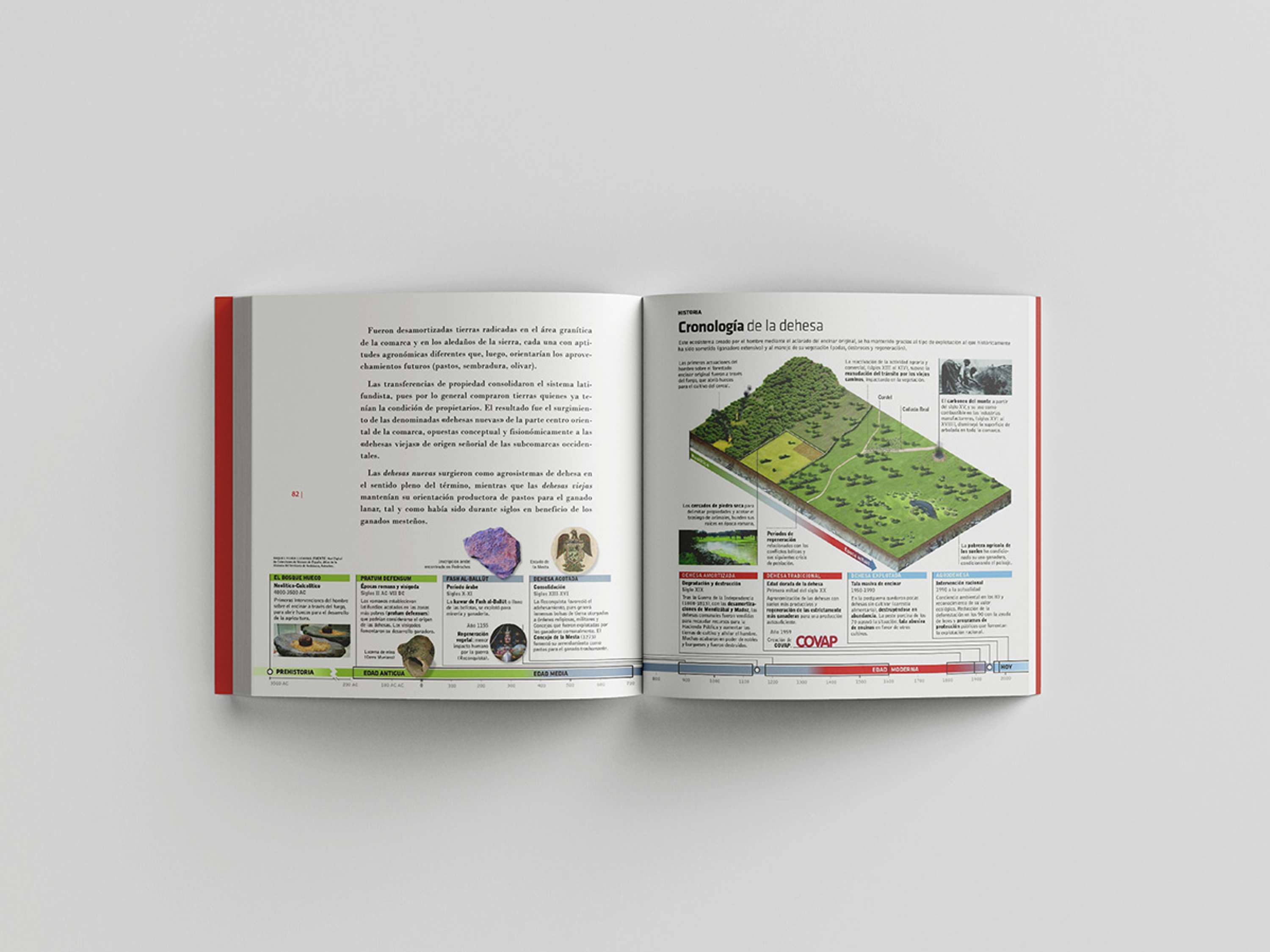 Infographics and data visualization for business dossiers by Raquel Feria Legrand