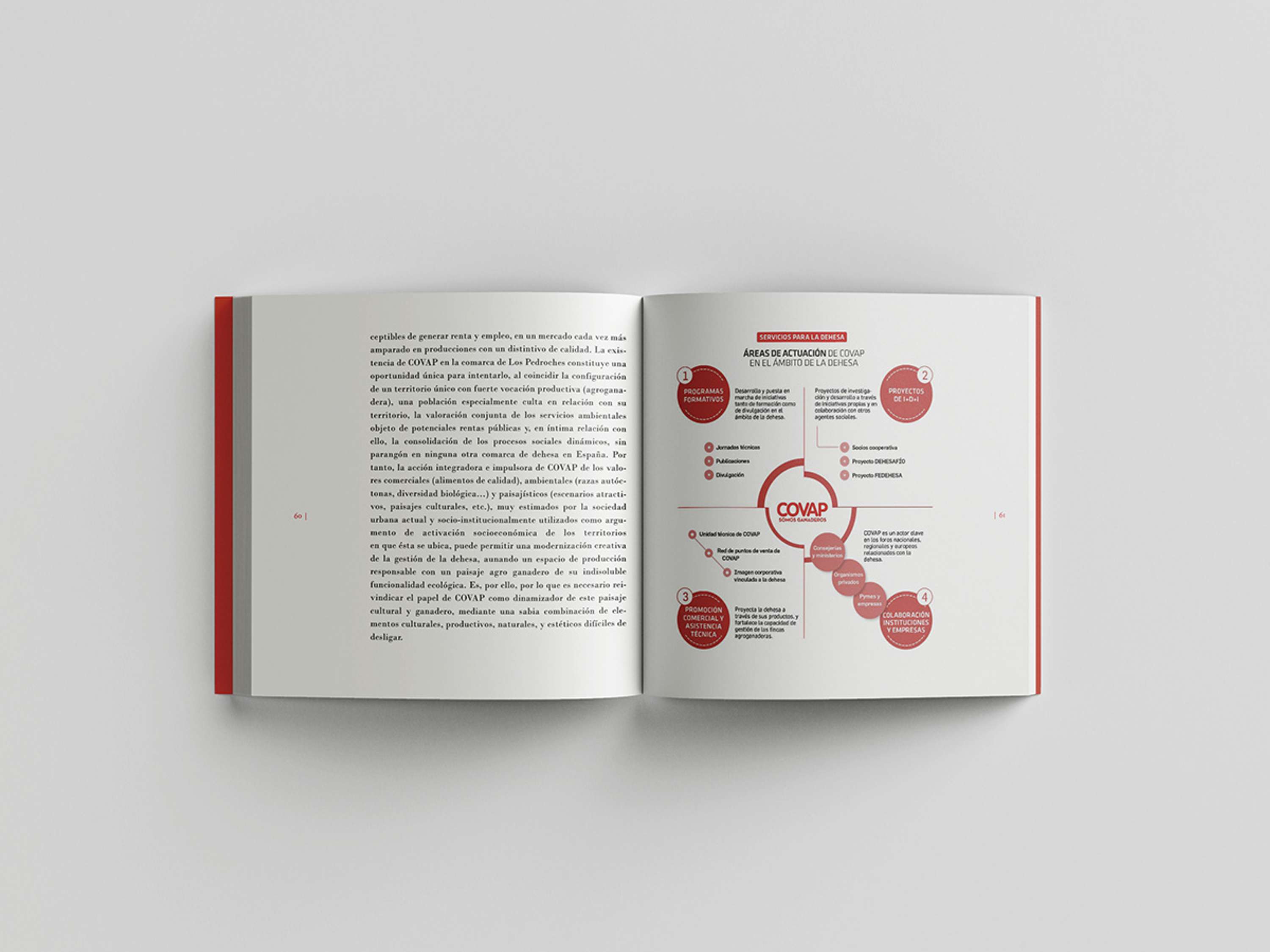Infographics and data visualization for business dossiers by Raquel Feria Legrand