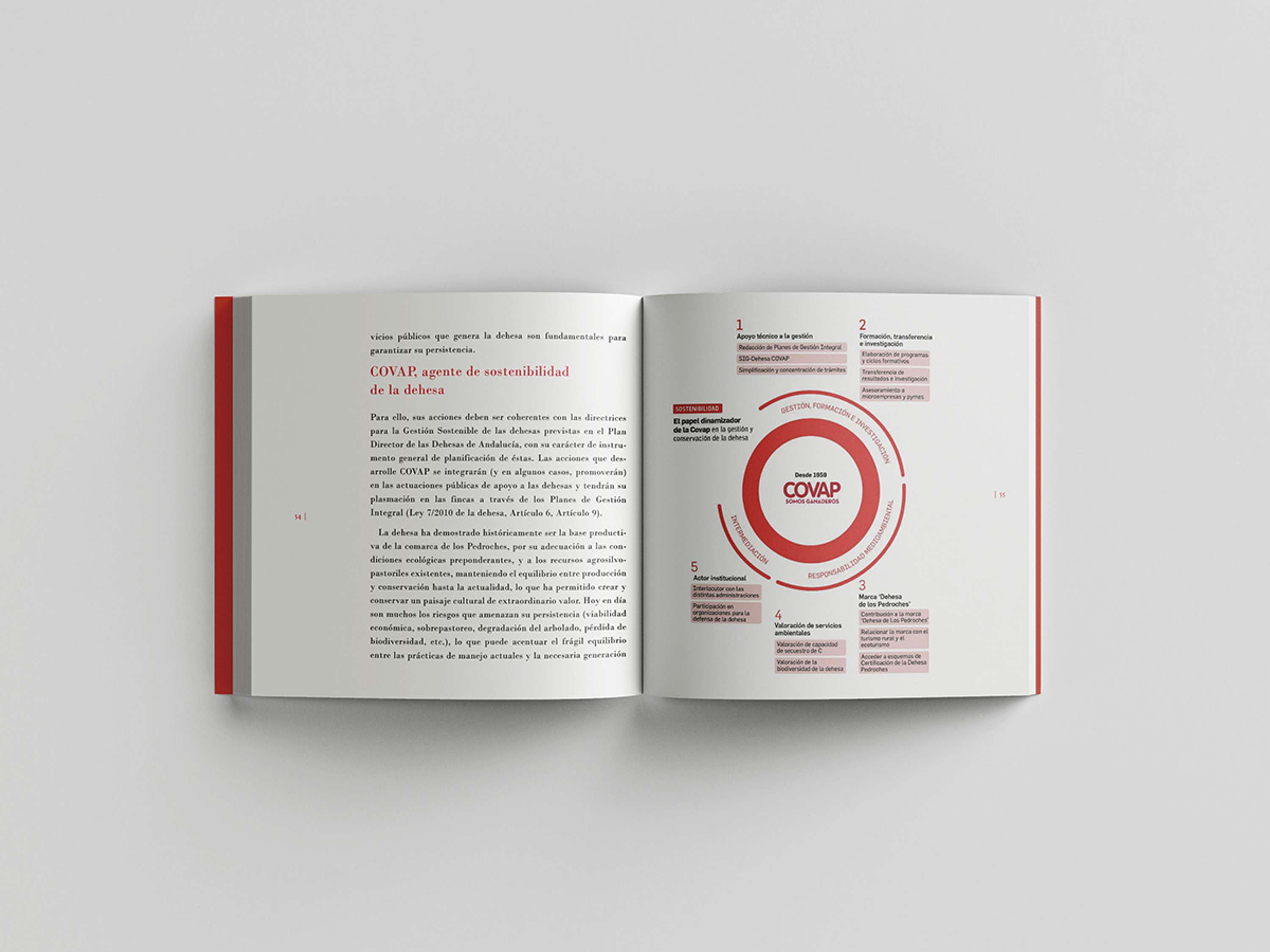 Infographics and data visualization for business dossiers by Raquel Feria Legrand