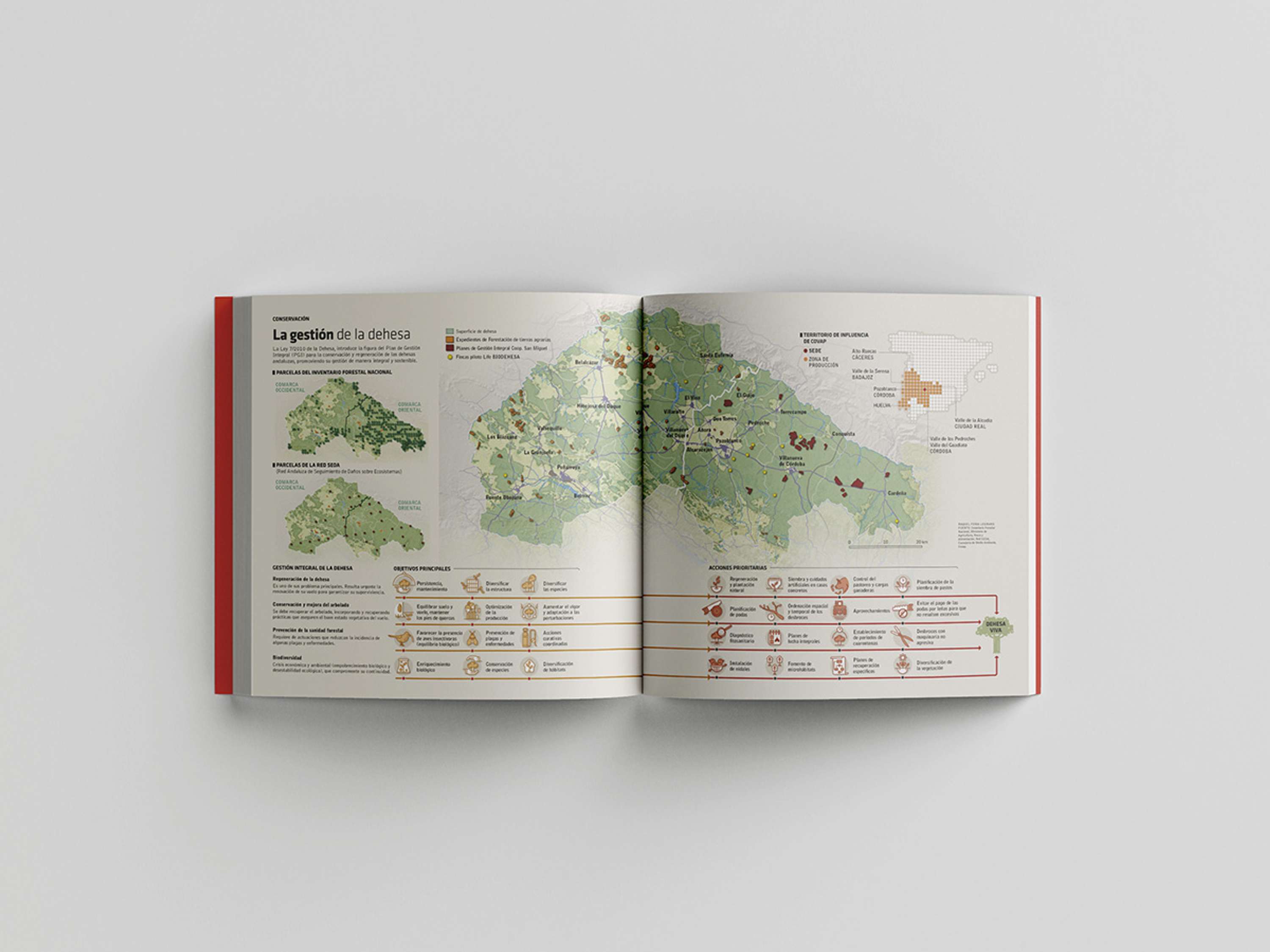 Infographics and data visualization for business dossiers by Raquel Feria Legrand