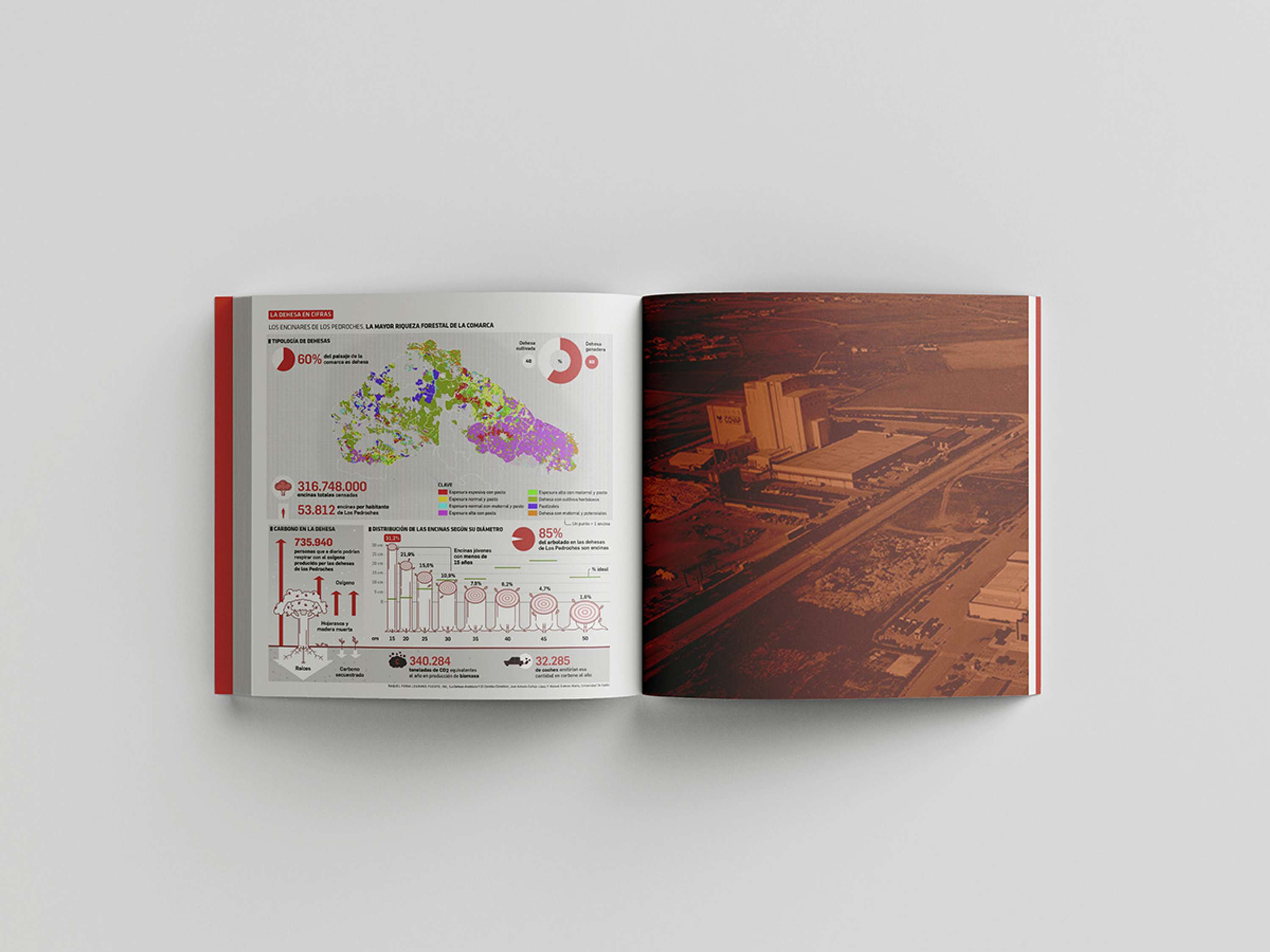 Infographics and data visualization for business dossiers by Raquel Feria Legrand