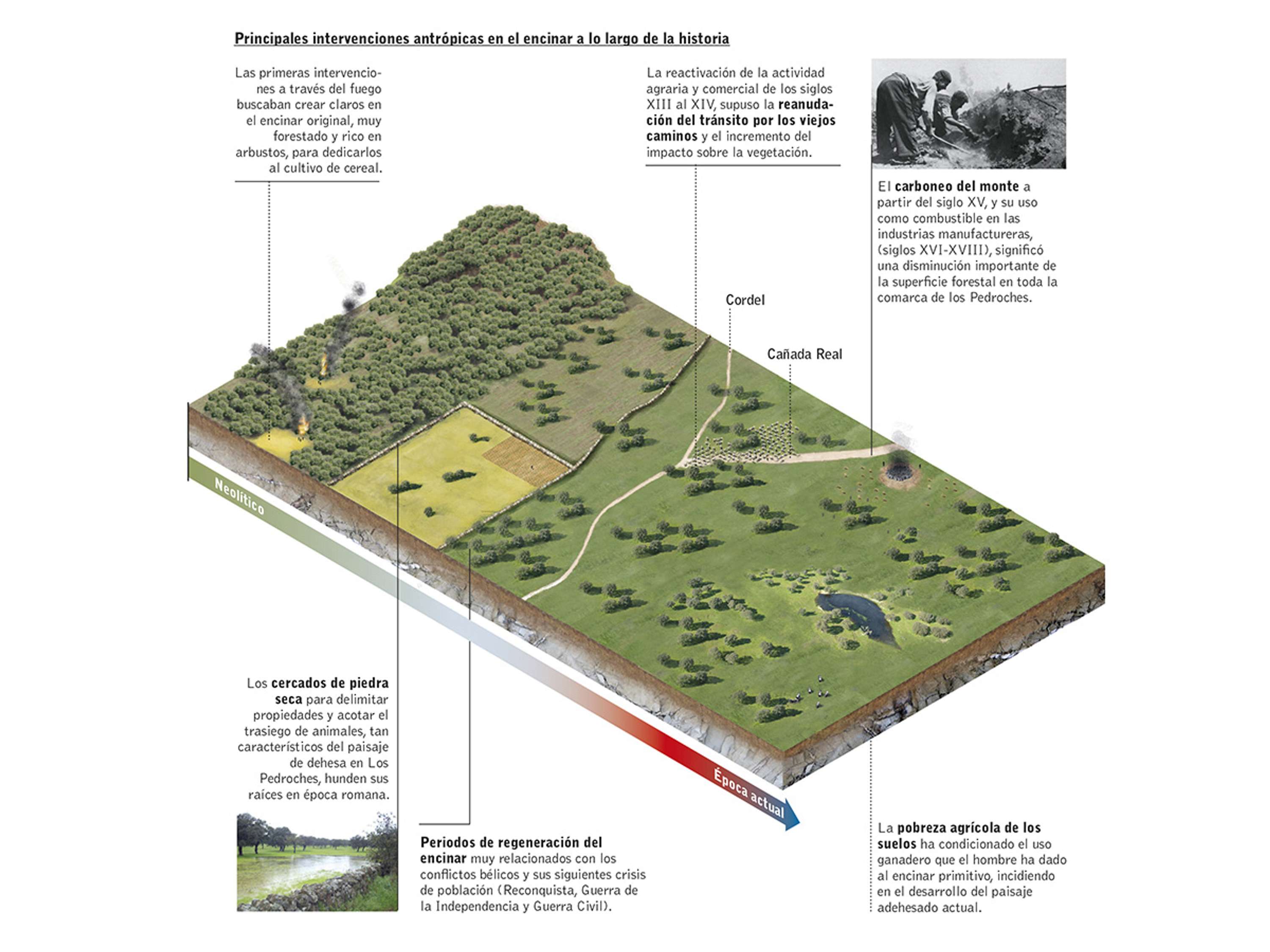 Infographics and data visualization for business dossiers by Raquel Feria Legrand