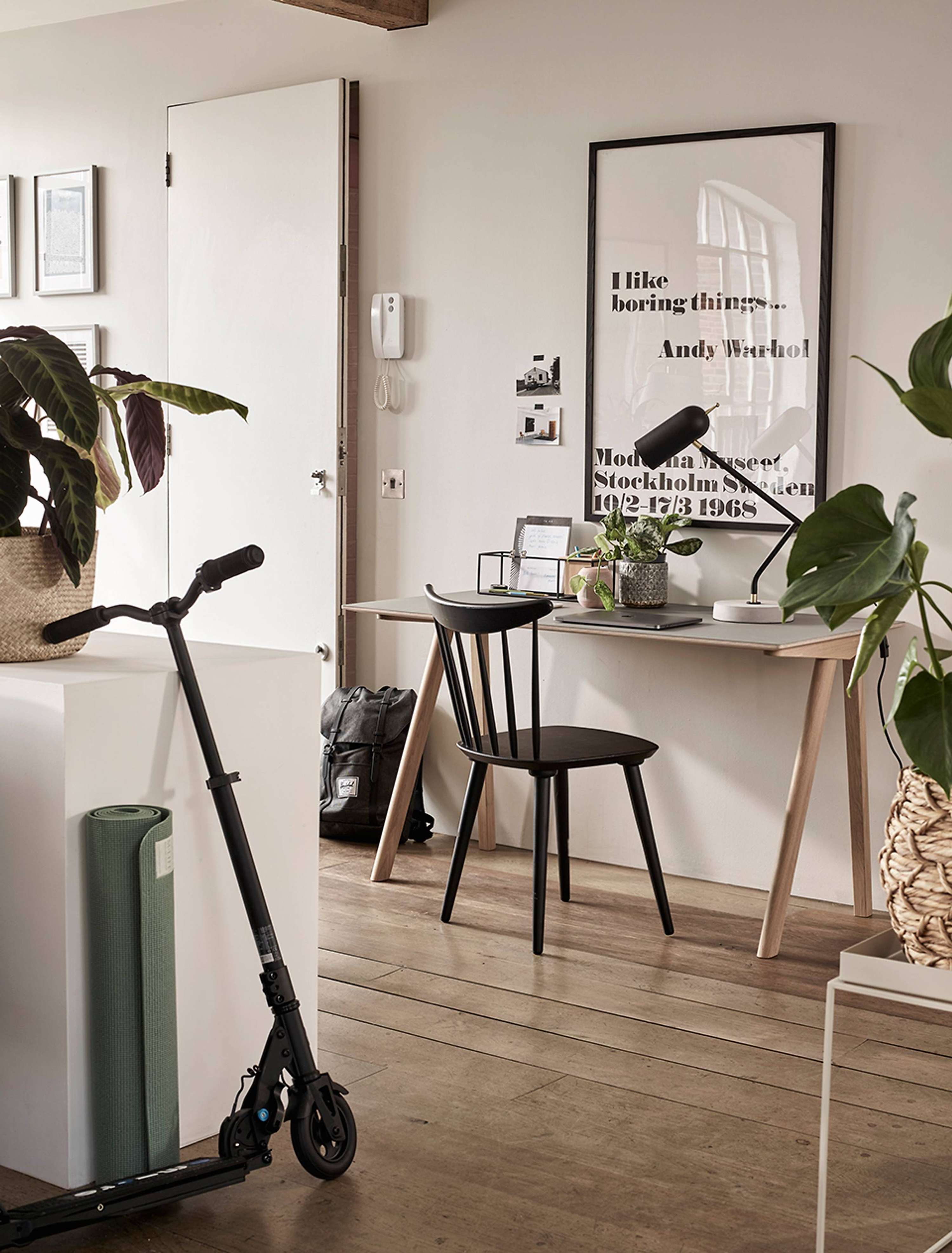 Editorial platform for John Lewis by Pat McNulty