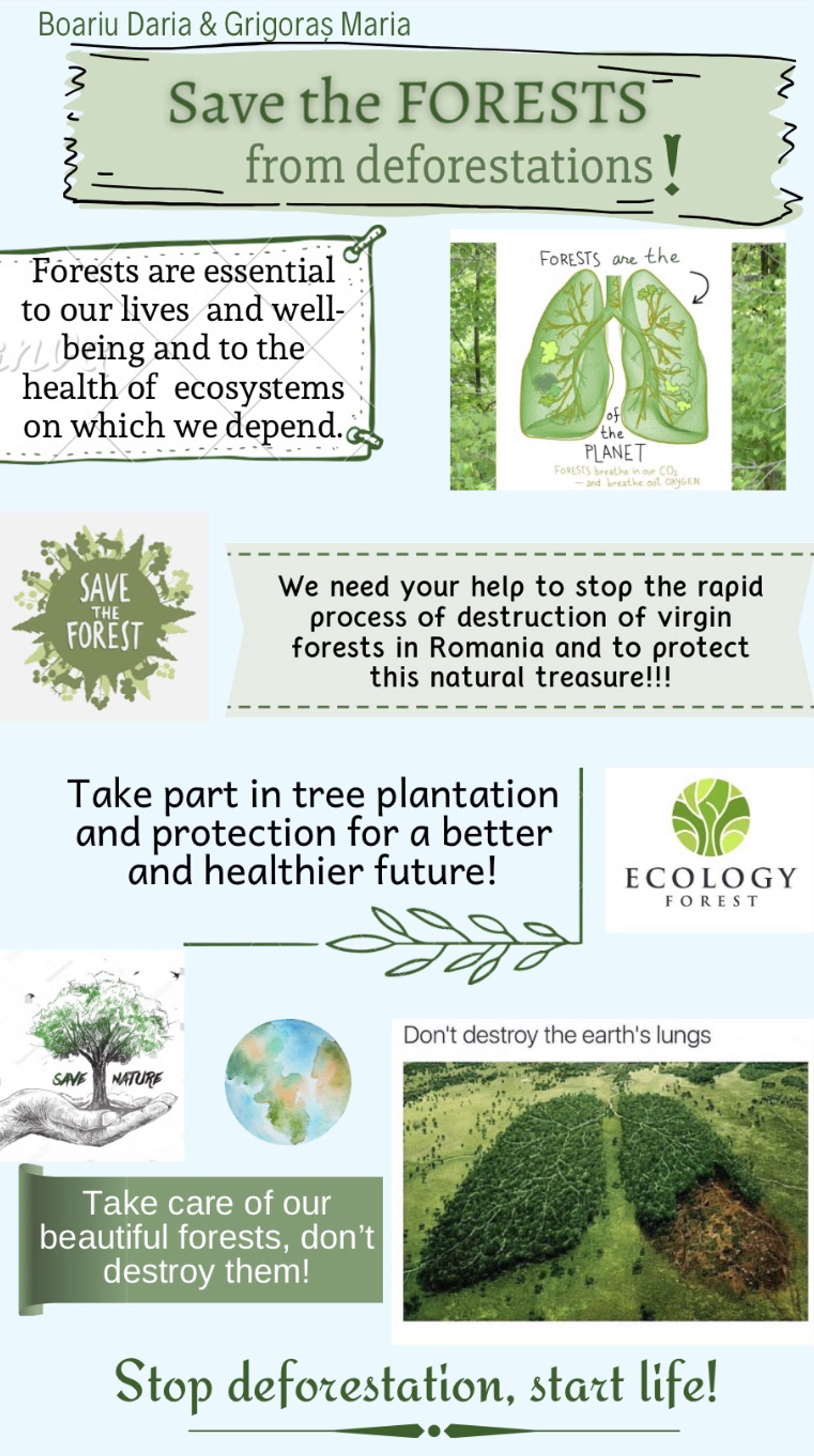Save the forests from deforestations! by Daria Boariu