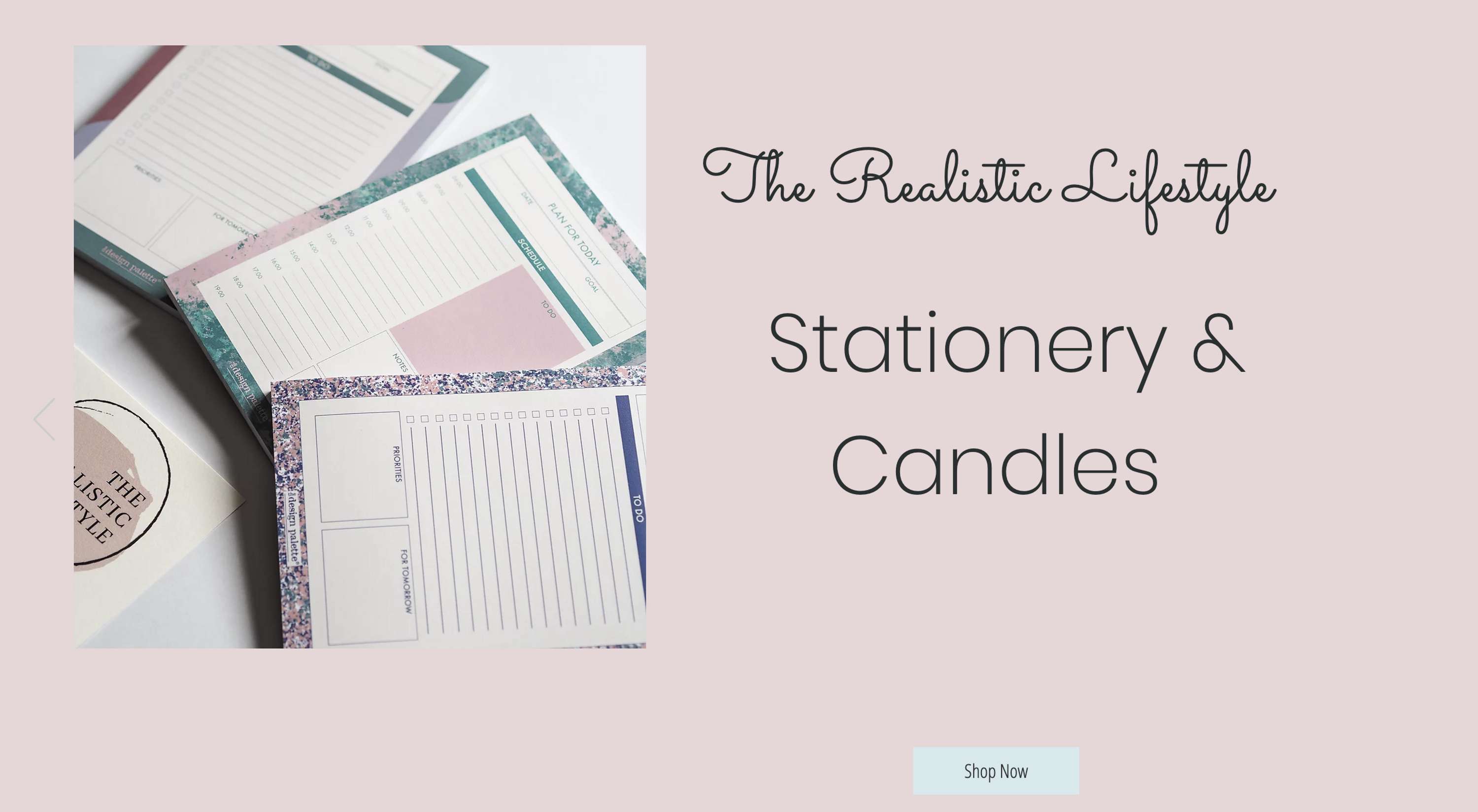 The Realistic Lifestyle - Website Content by Aimee Carmichael