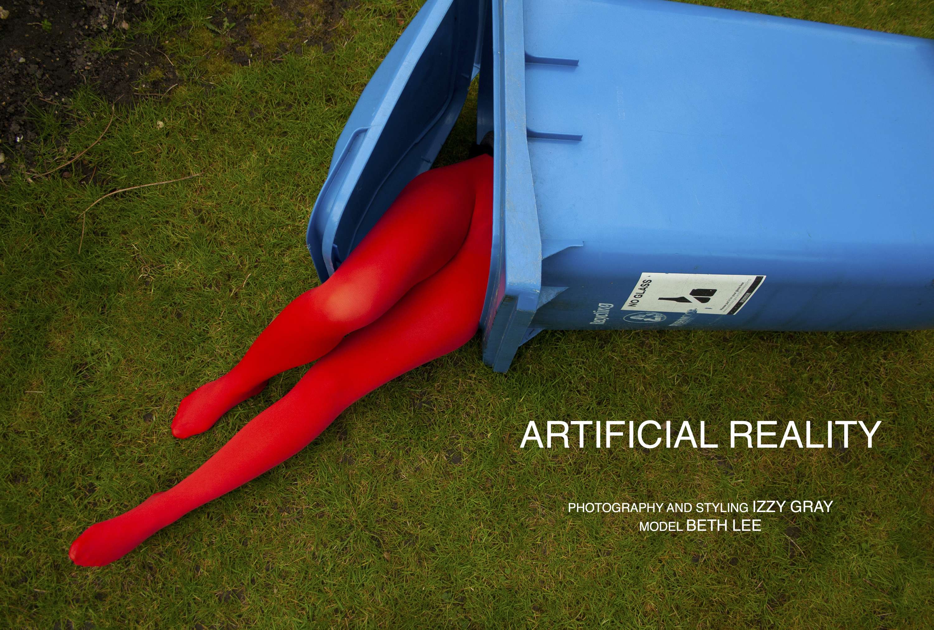 Artificial Reality by Isabelle Gray