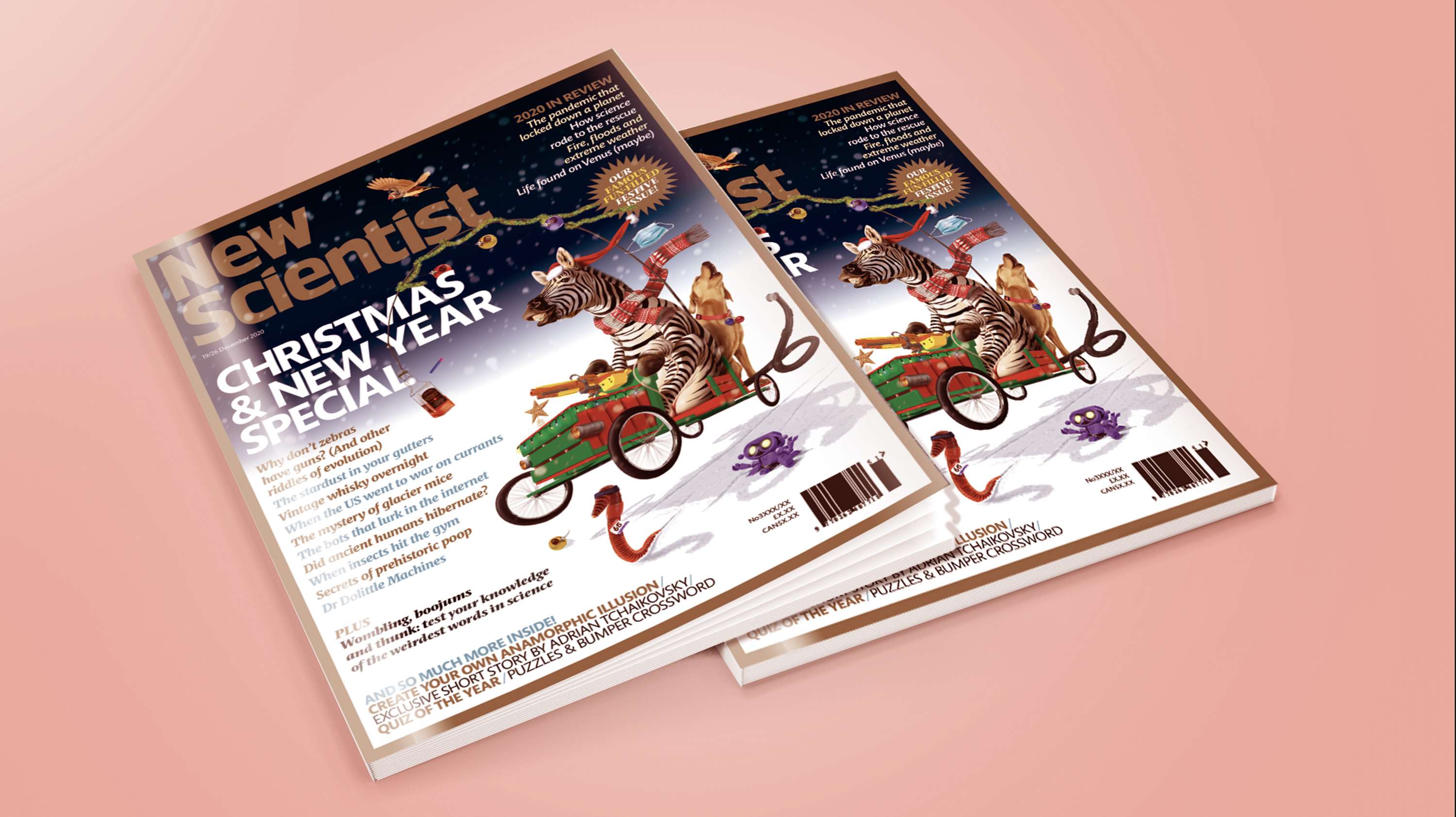 Go Kart a Christmas by Rob Snow