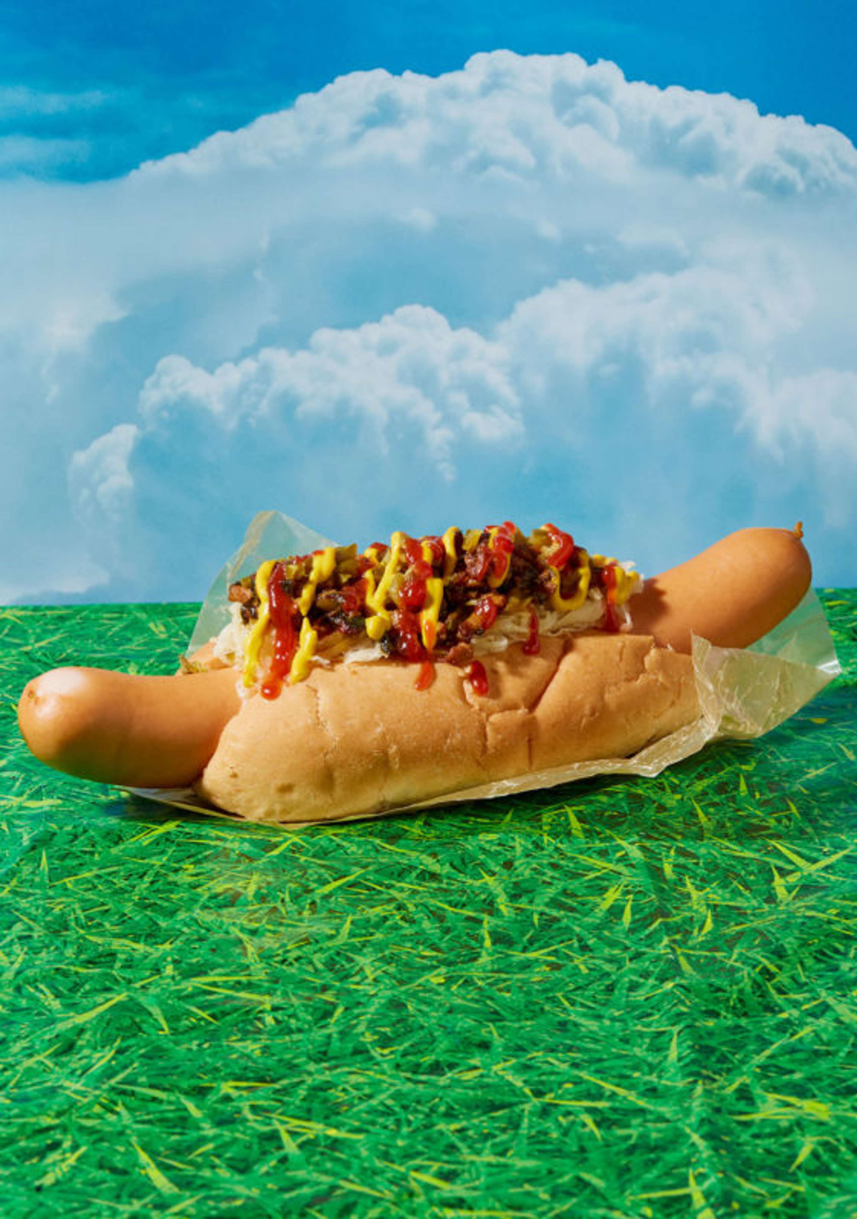Louise Hagger, Max's picnic cookbook out now by Wyatt-Clarke & Jones