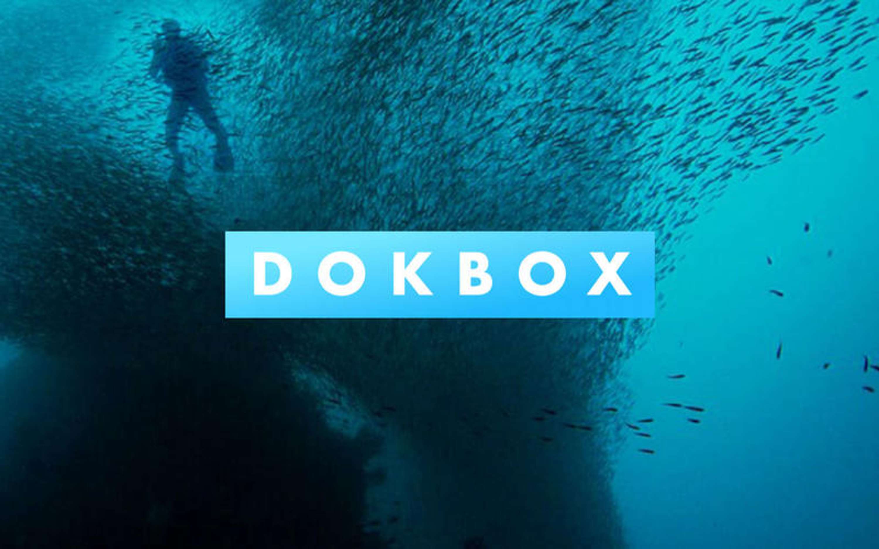 Dokbox by Gabriel Agranoff