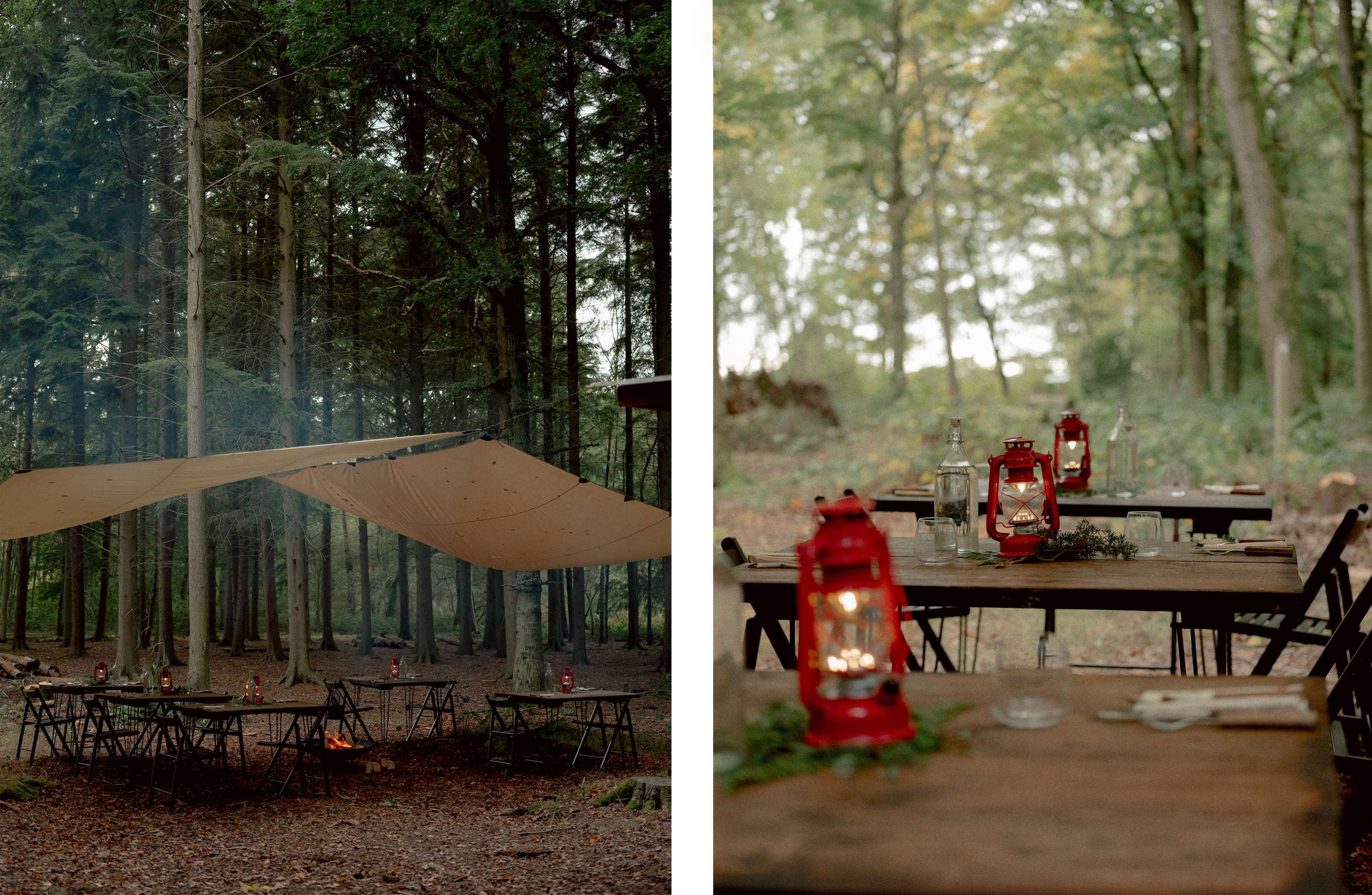 Foraging & Feasting by Jenna Foxton