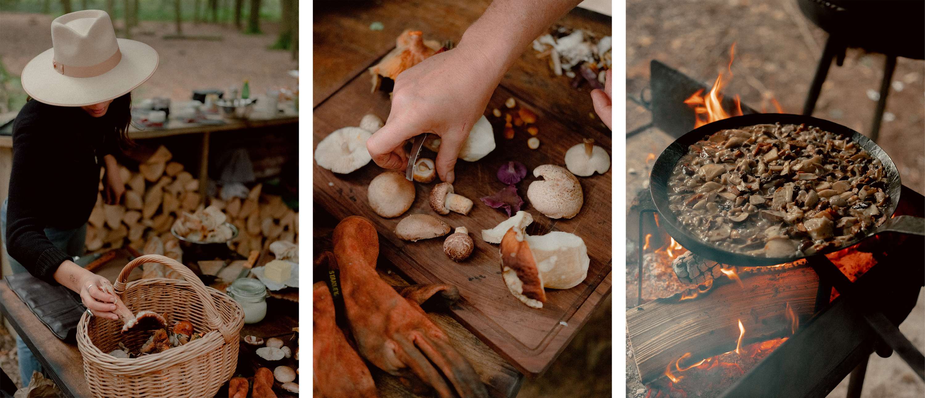 Foraging & Feasting by Jenna Foxton
