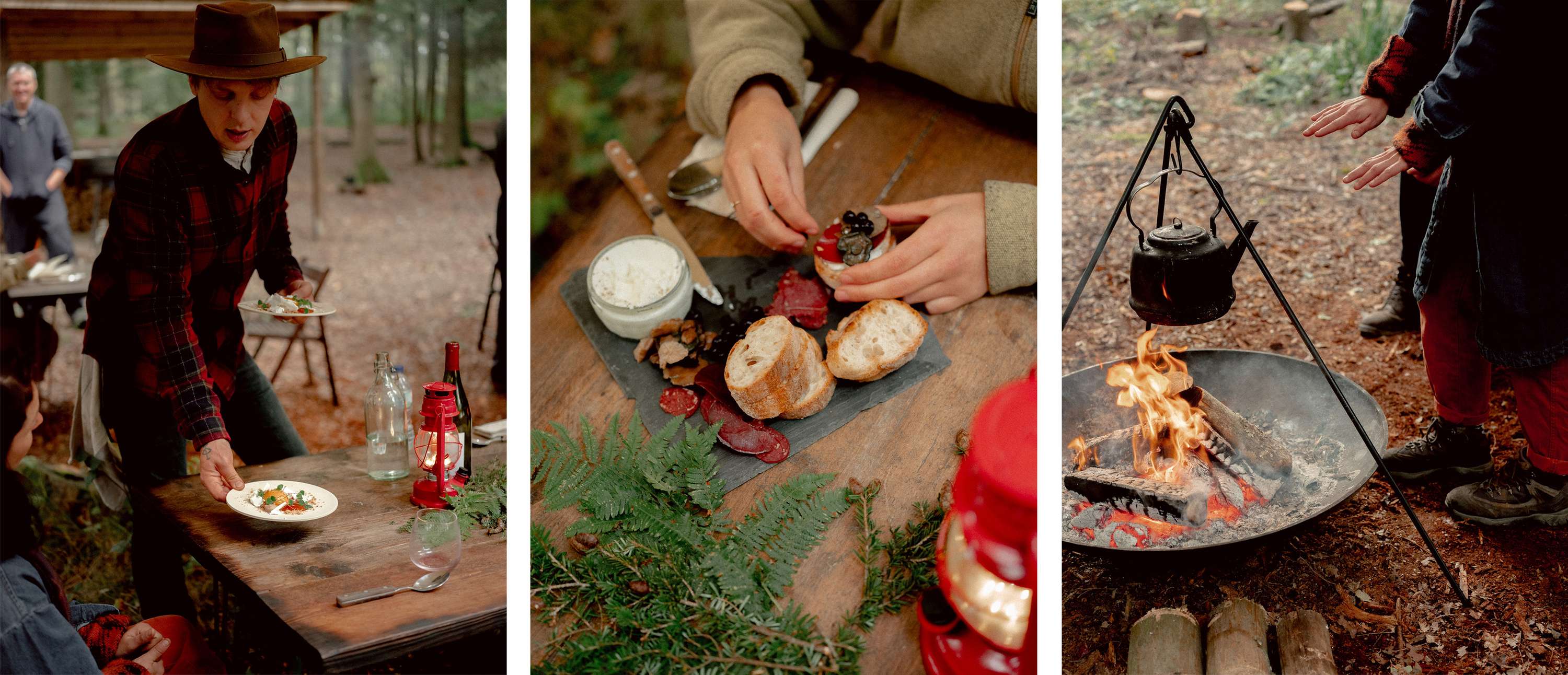Foraging & Feasting by Jenna Foxton