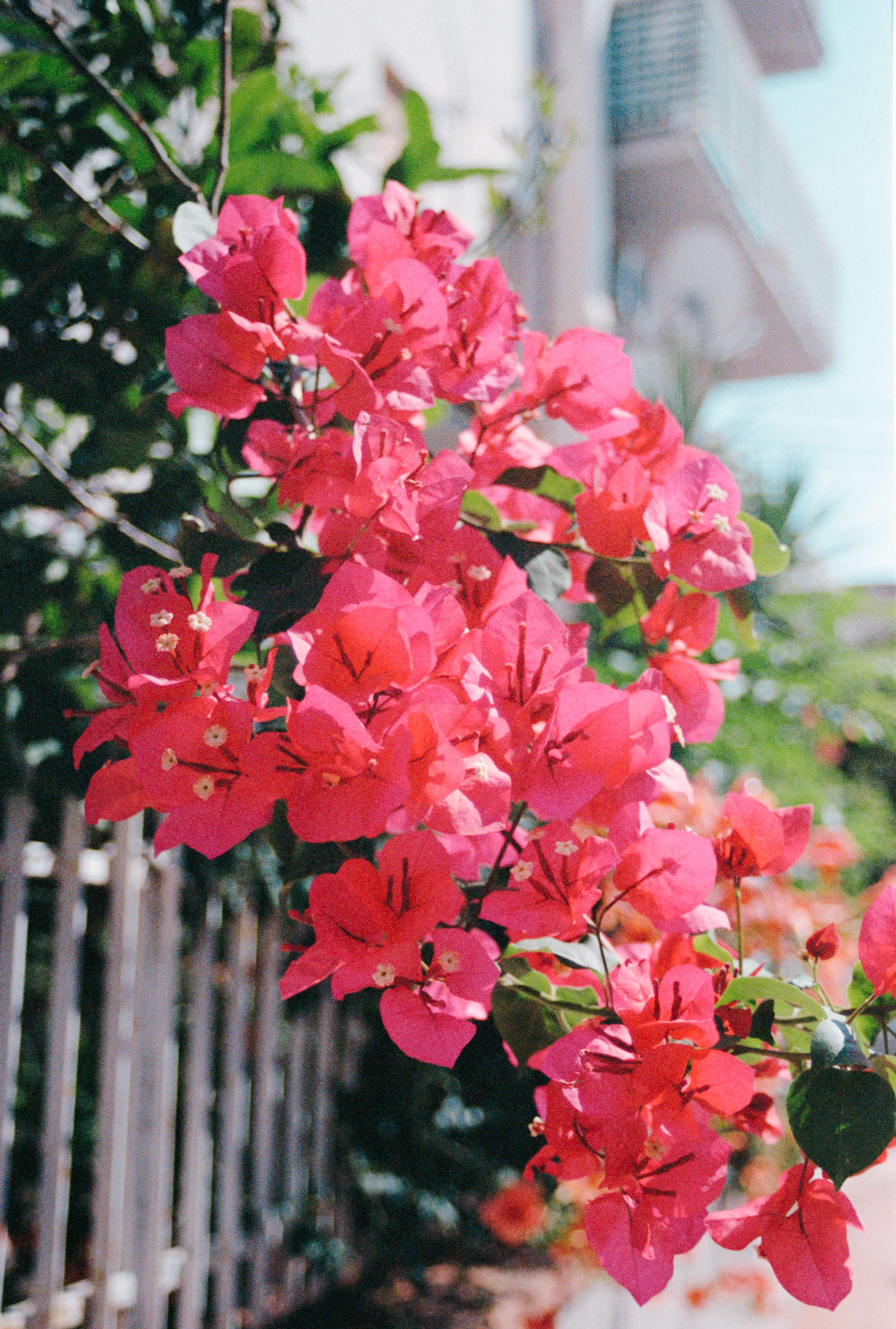 7 Days in Sardinia by Alanna Georgette Proctor