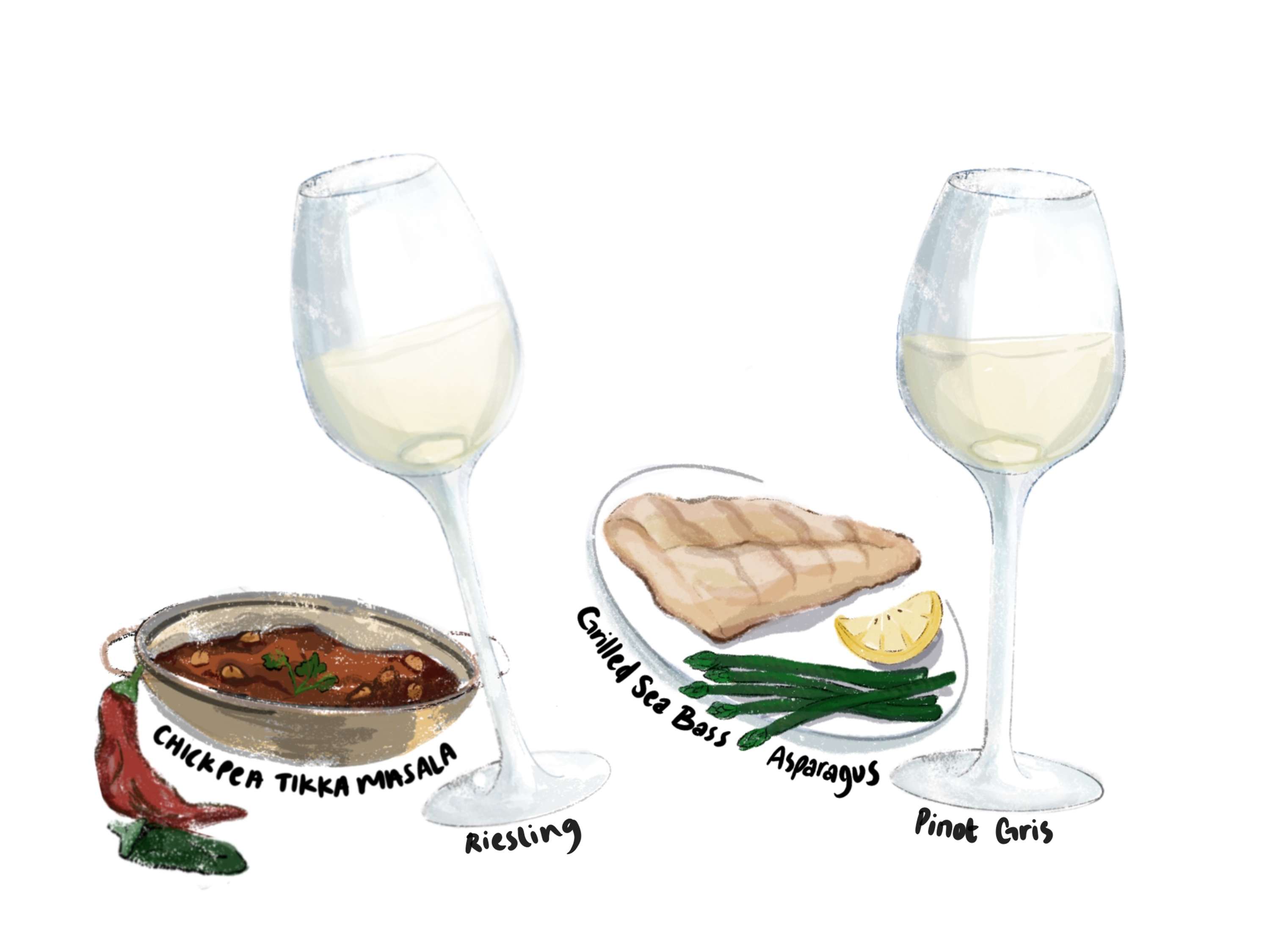 Red Wine Imports: Informational Guides by Yasmine Kadhim