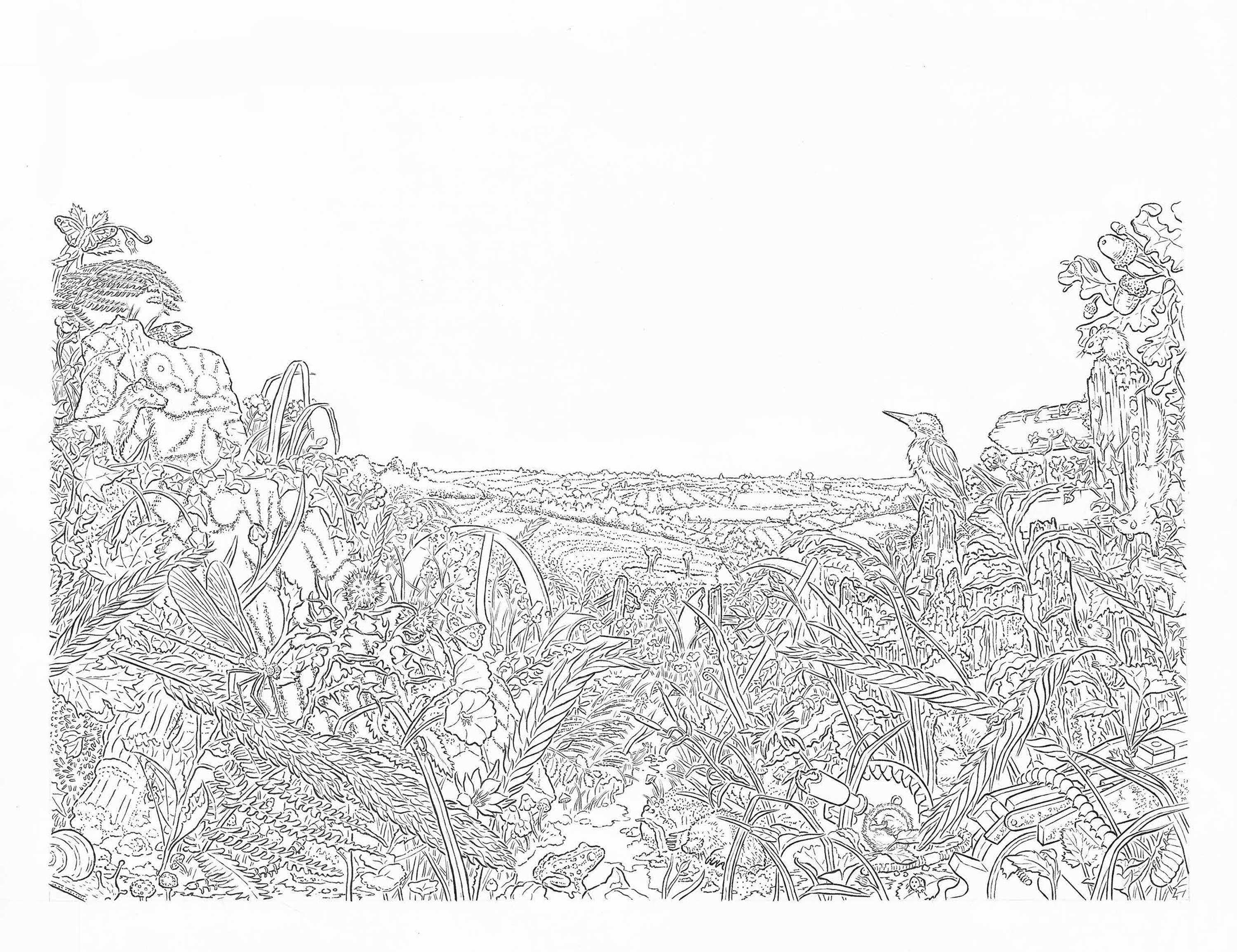 Hackney Wild Book by Dan Cartwright