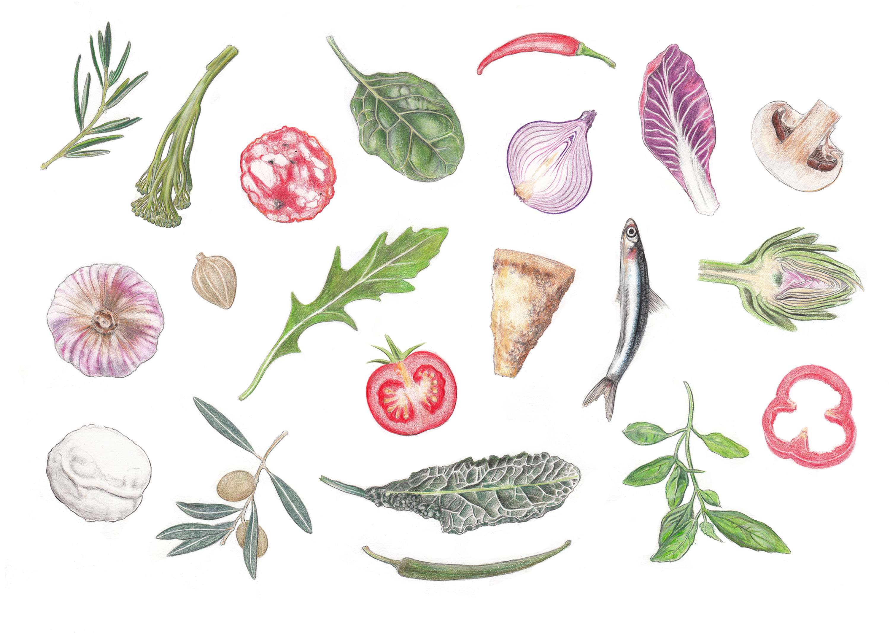 Hackney Wild Book by Dan Cartwright