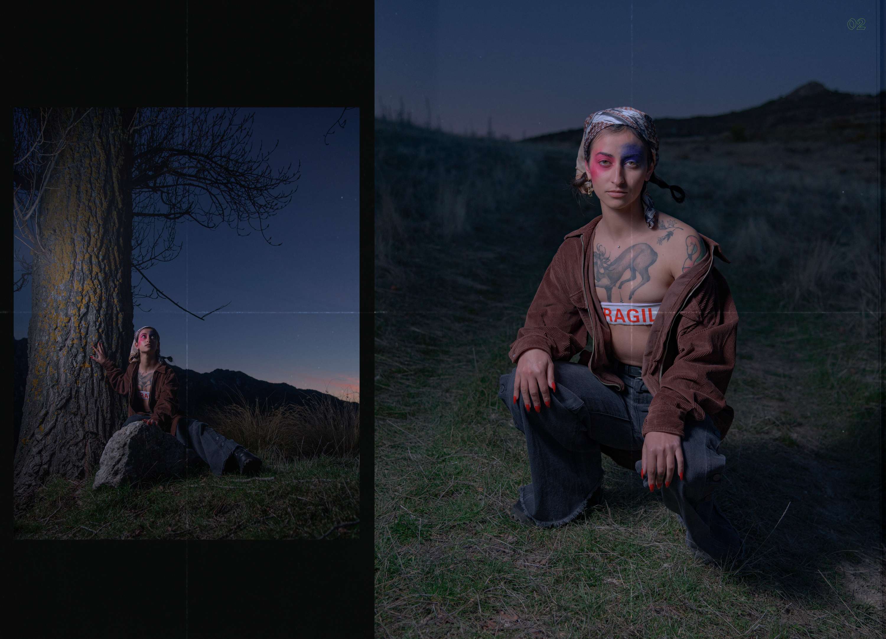 FANZINE-fragile yet fierce by Flora Brazuelo Millán