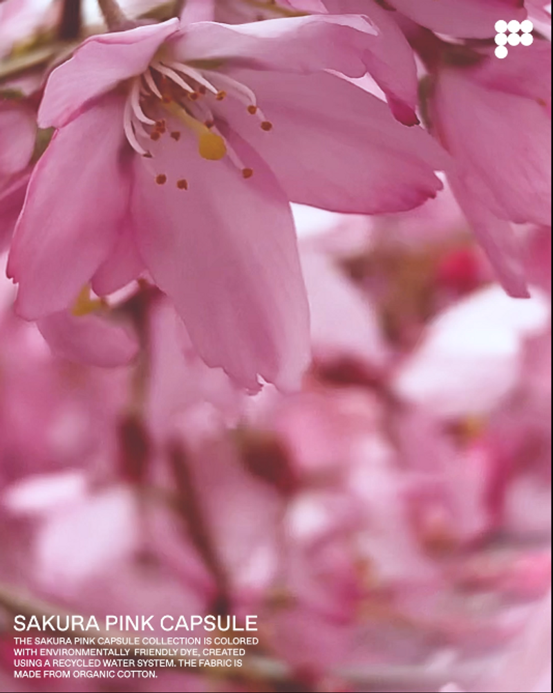 Sakura by Olga Lagun