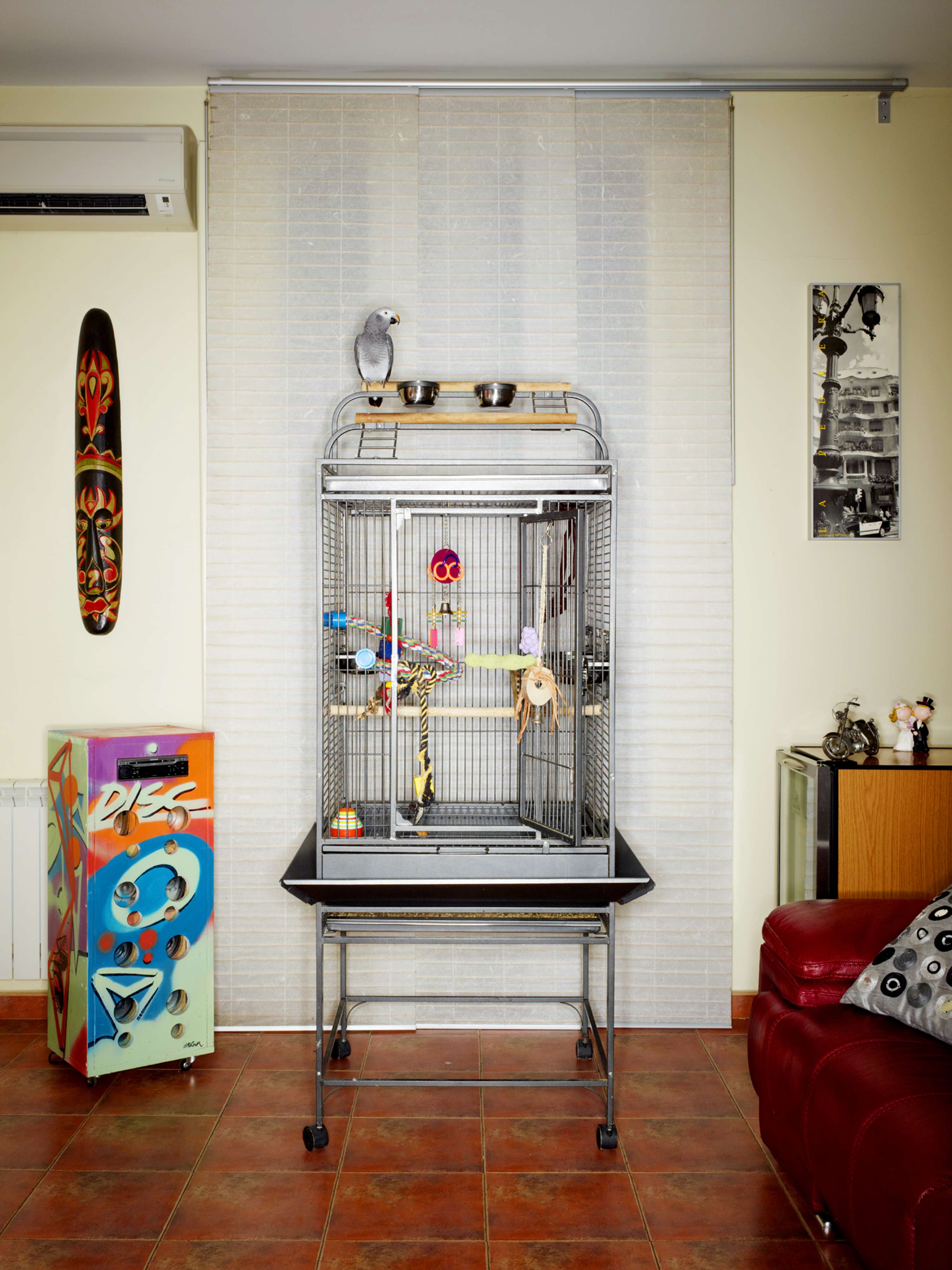 Bird Cages by jasper white