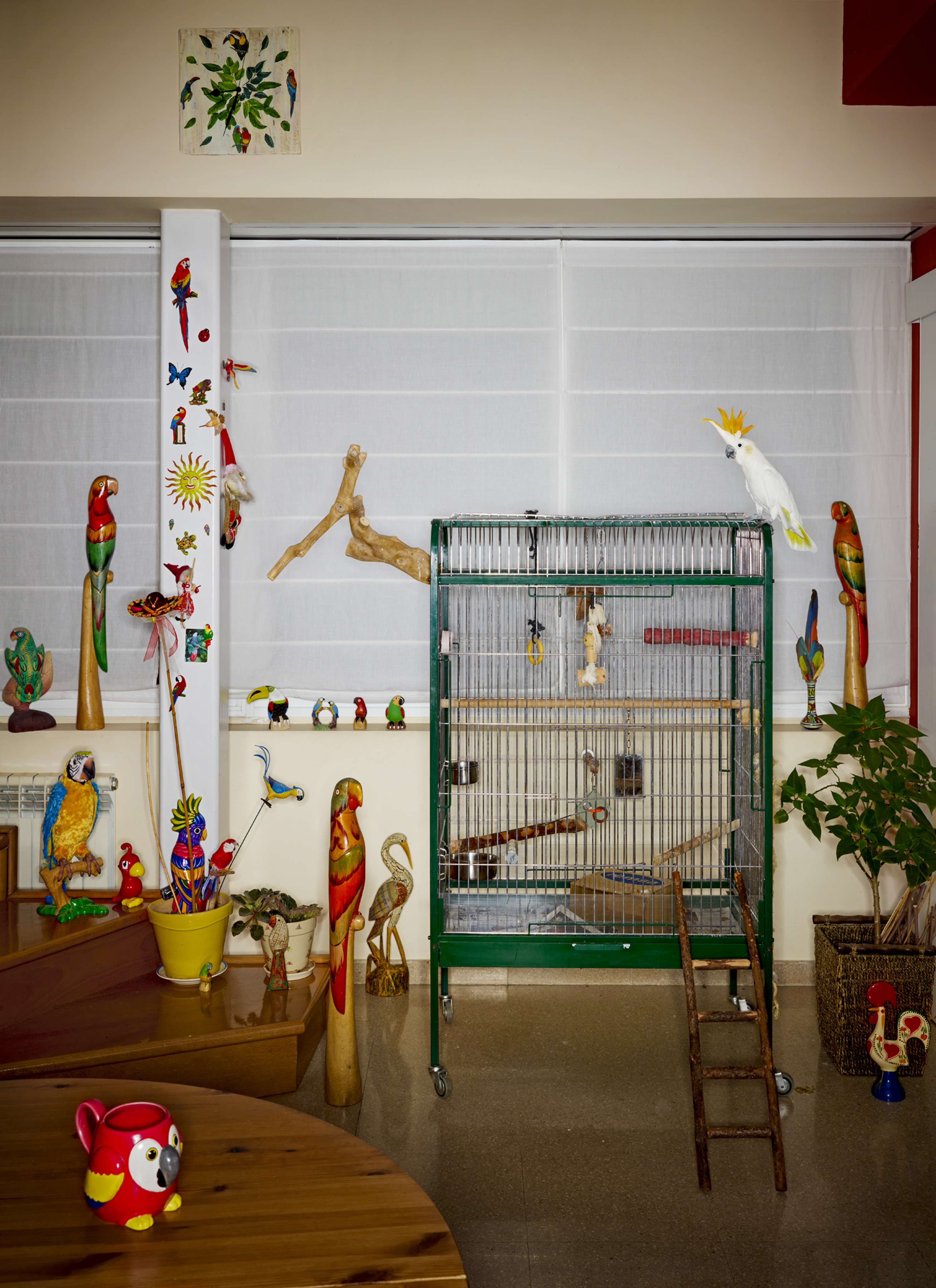 Bird Cages by jasper white