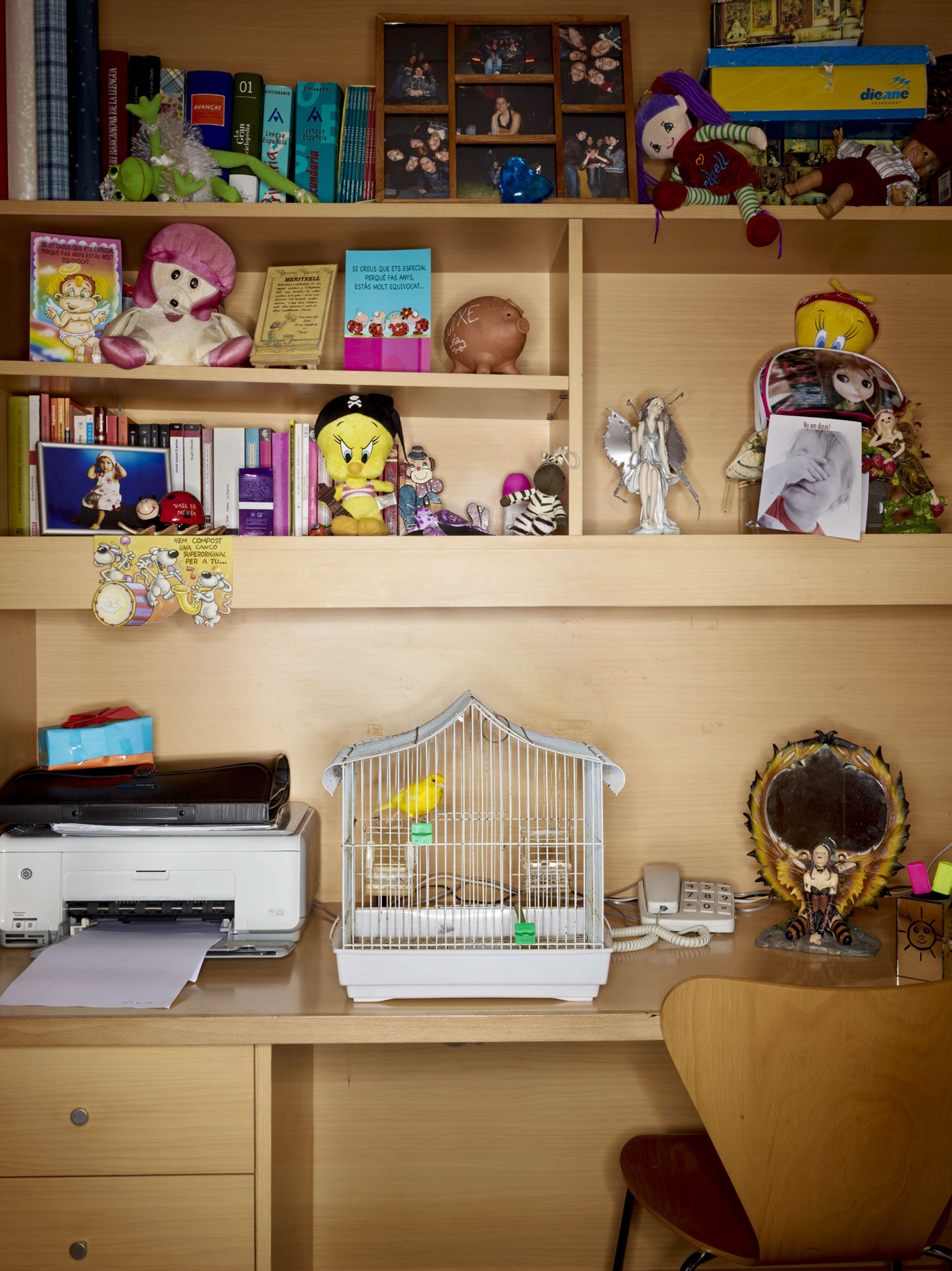 Bird Cages by jasper white