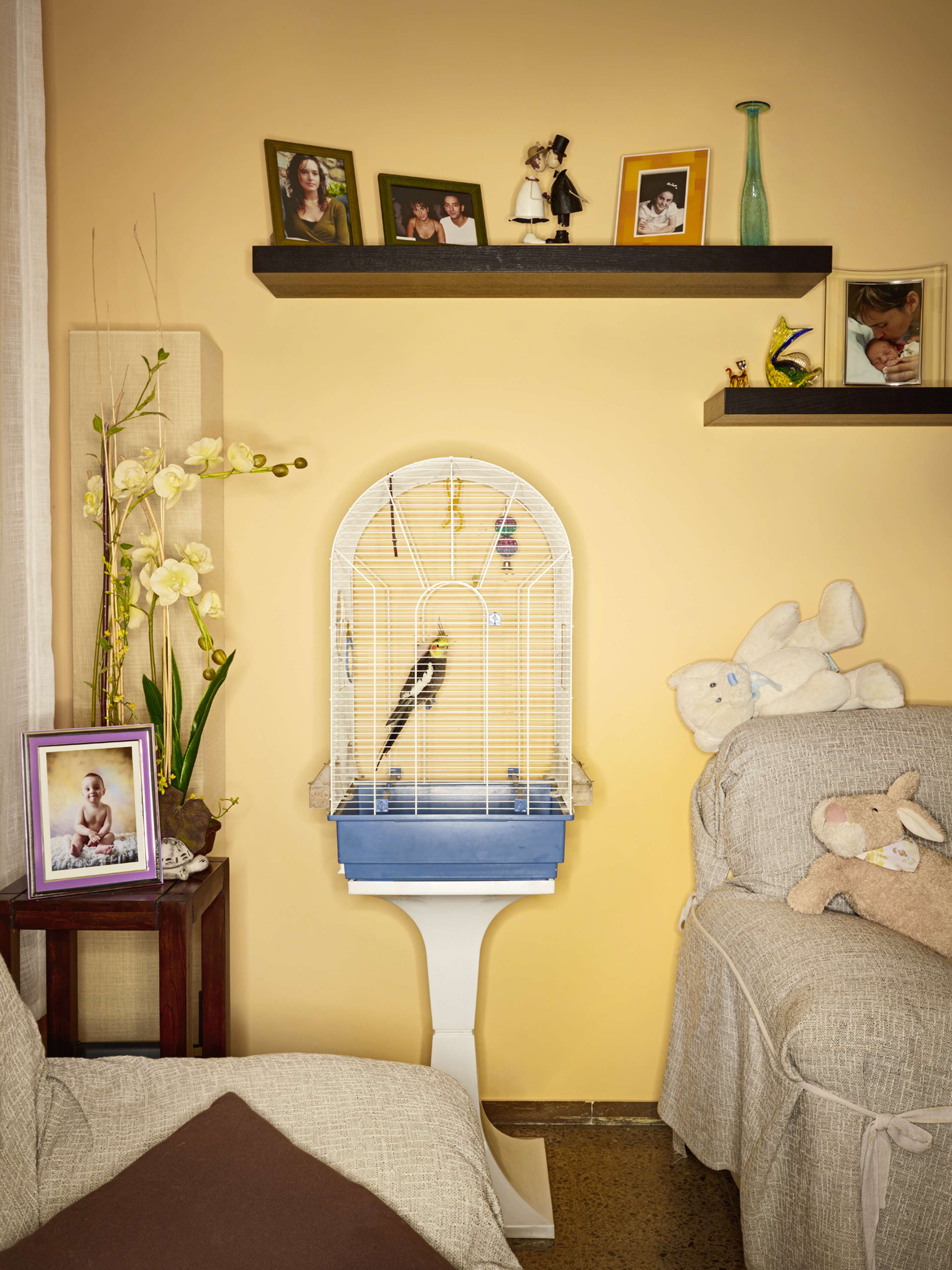 Bird Cages by jasper white
