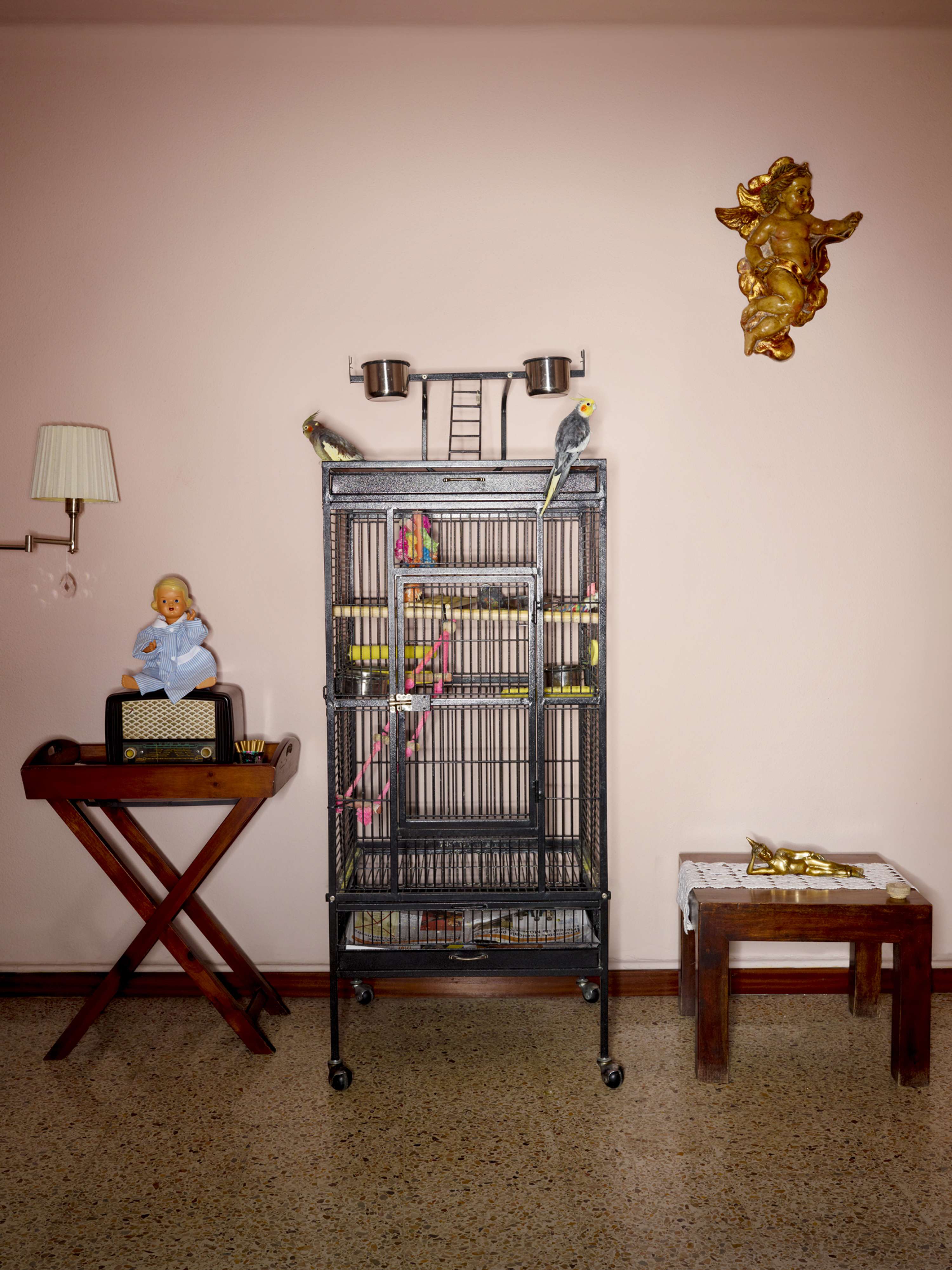 Bird Cages by jasper white