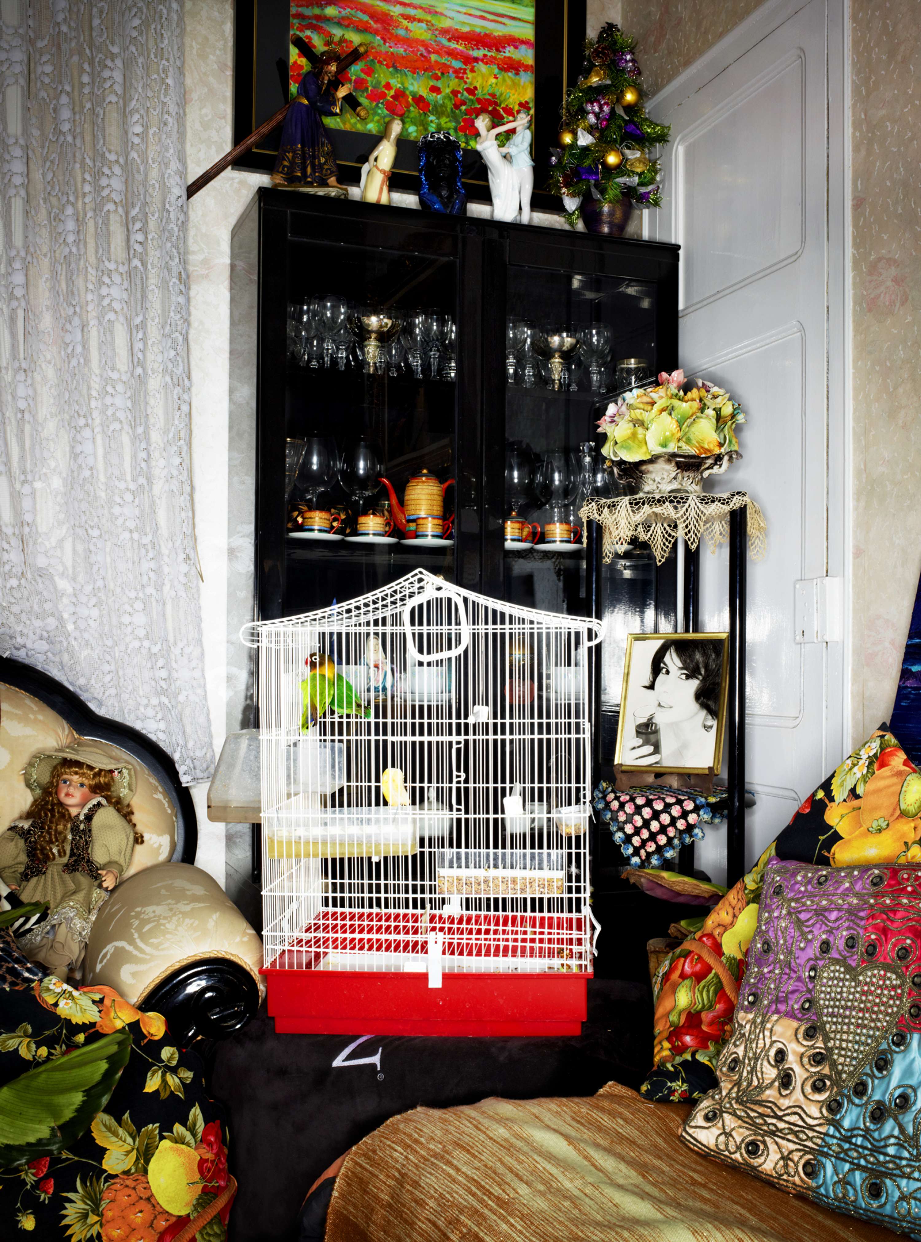 Bird Cages by jasper white
