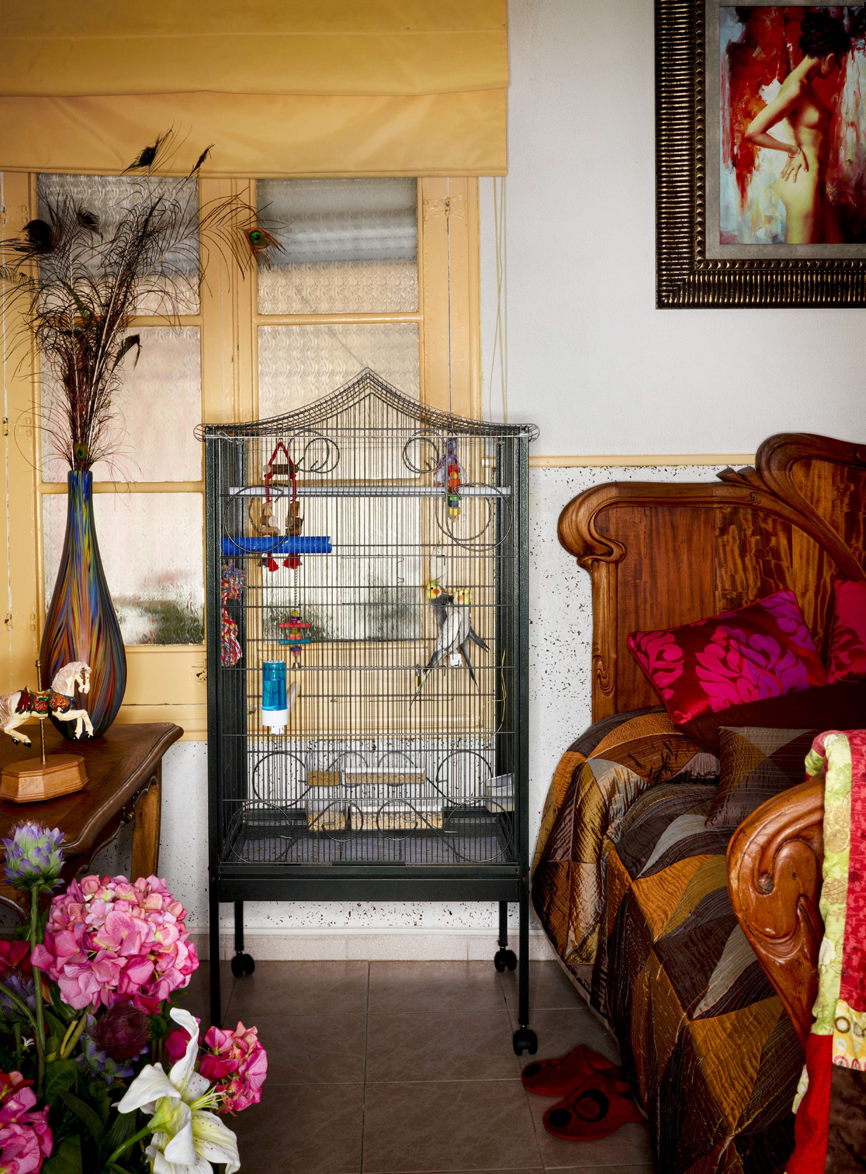 Bird Cages by jasper white